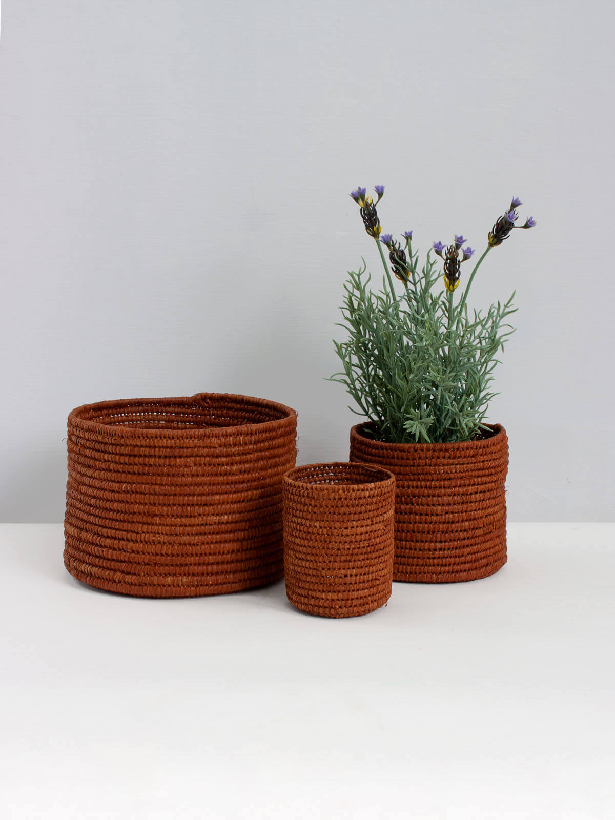 Natural Raffia Storage Baskets with Lids - Handwoven Tobacco Brown Woven Bins for Home Organization, Bathroom & Bedroom Decor - Perfect for Blankets, Toys & Laundry Storage