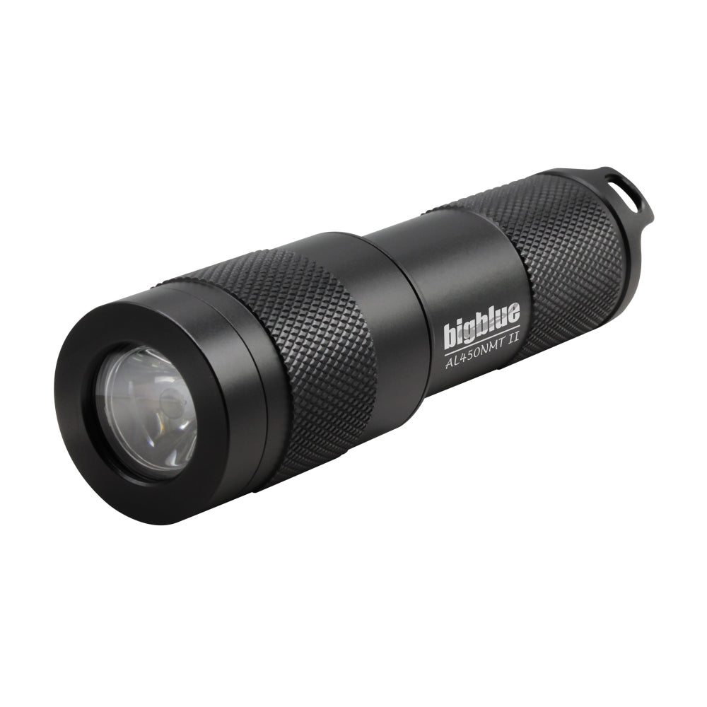 BigBlue 450 Lumen Mini Dive Light with Glove, Batteries & Tail Switch - Compact Underwater Flashlight for Scuba Diving, Snorkeling, Night Fishing & Emergency Use