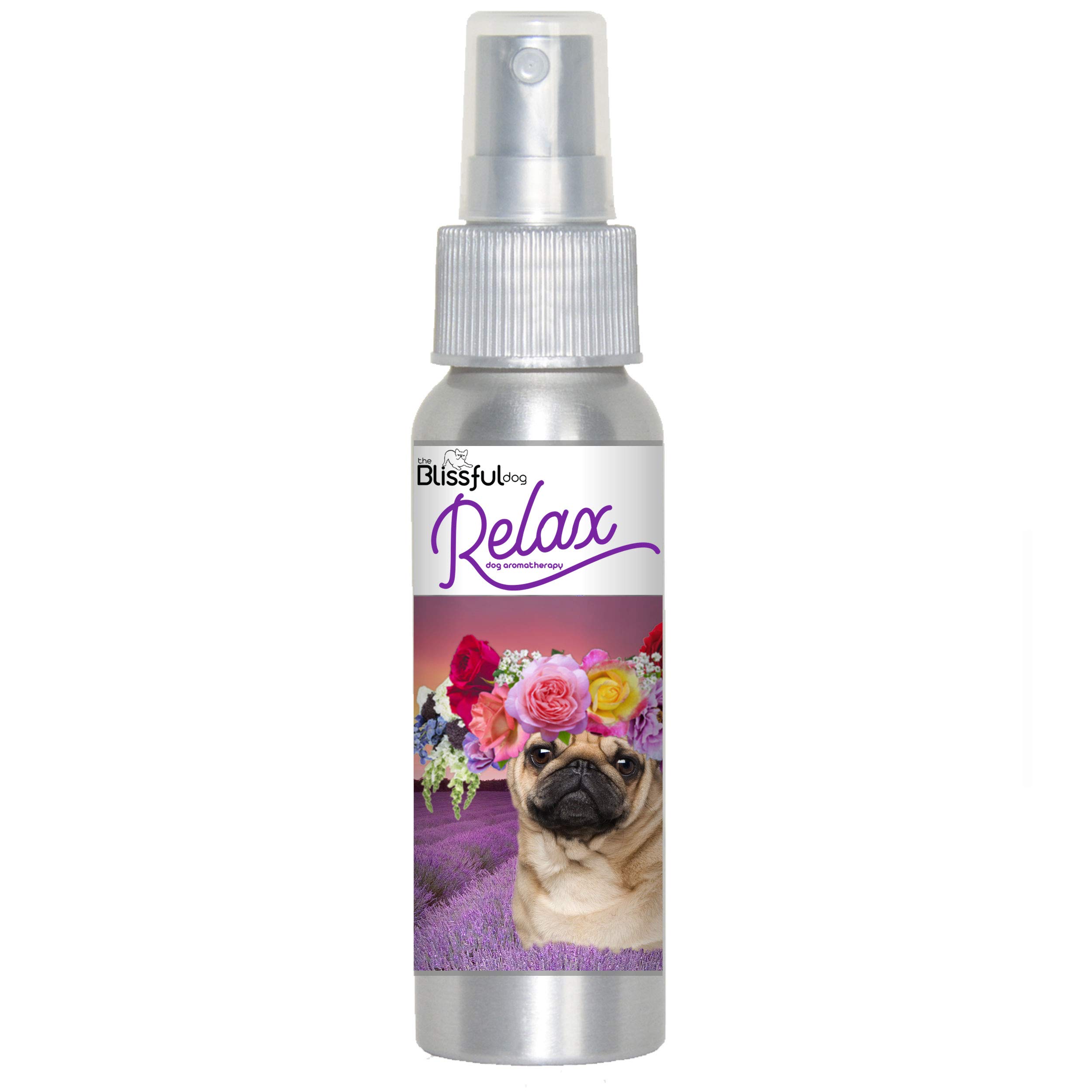 The Blissful Dog Pug Relax Dog Aromatherapy Spray - Calming Anxiety Relief for Dogs | Perfect for Travel, Vet Visits & Fireworks