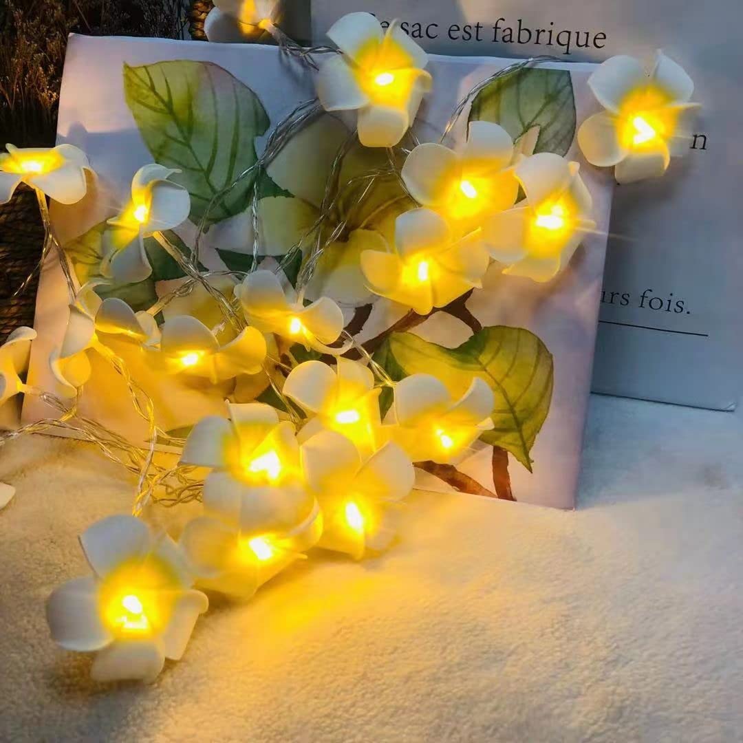 Battery Powered Artificial Plumeria String Lights - 40LED White Frangipani Flower Garland for Wedding, Beach Party, Garden & Patio Decor - Waterproof Fairy Lights for Outdoor & Indoor Use