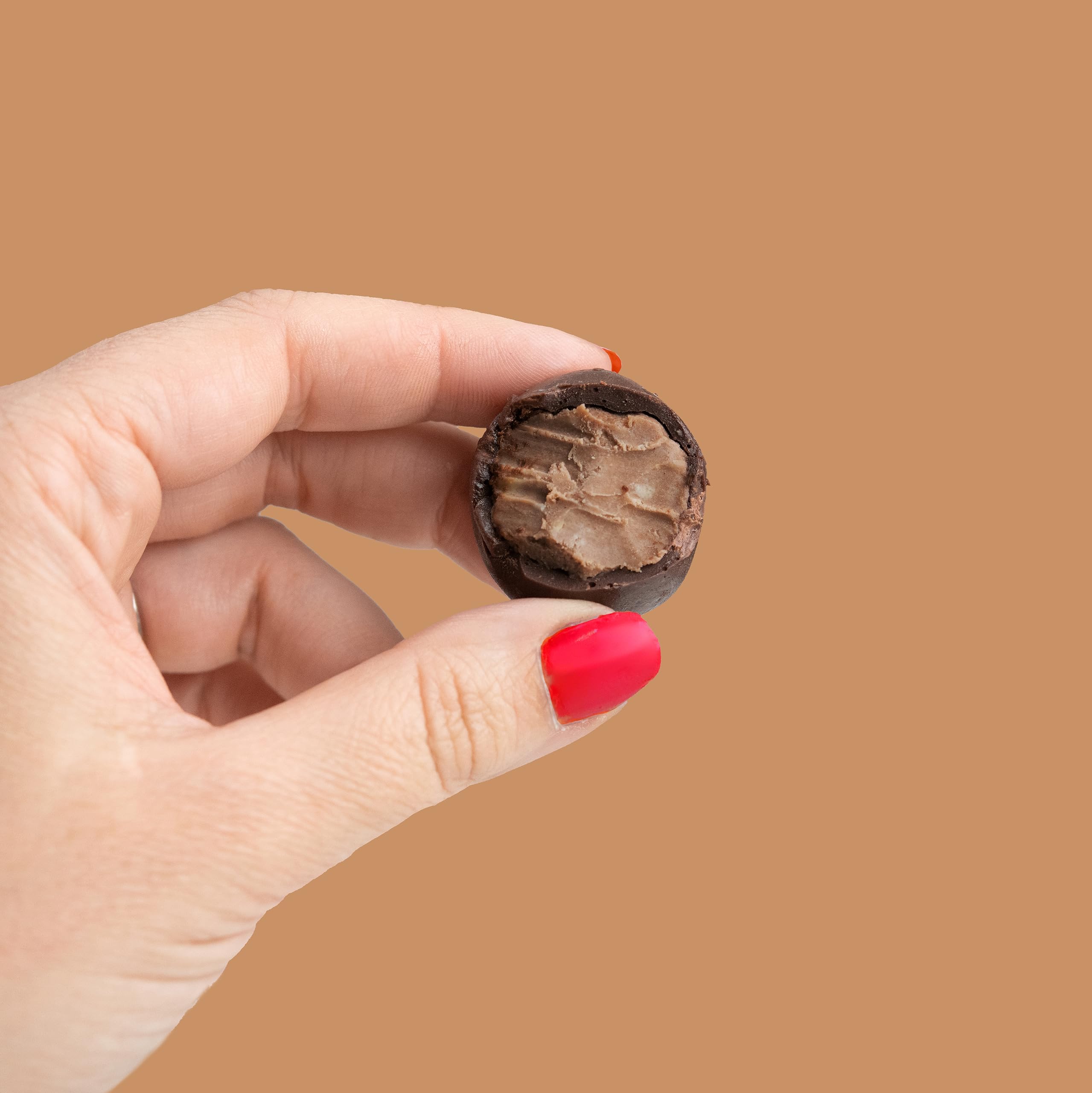 Delicious Double Chocolate Cheesecake Bites - 6 Oz Pack of 8 (80 Bites) | Rich Chocolate Dessert Snacks for Parties, Gifts & Office Treats | Indulgent Bite-Sized Sweets for Holidays & Special Occasions