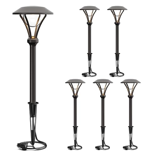 LED 6PK