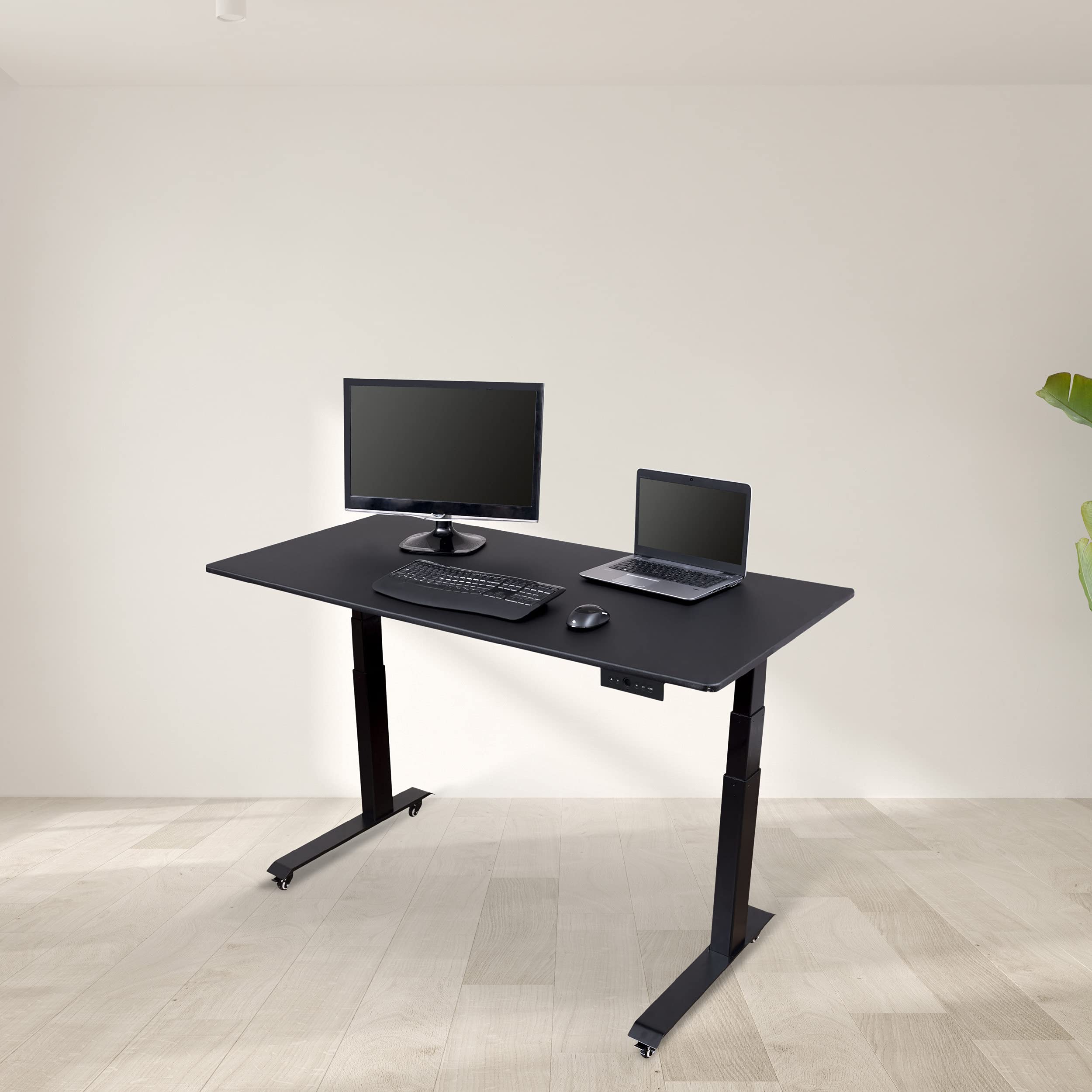 Dual Motor Electric Adjustable Height Standing Desk - 60