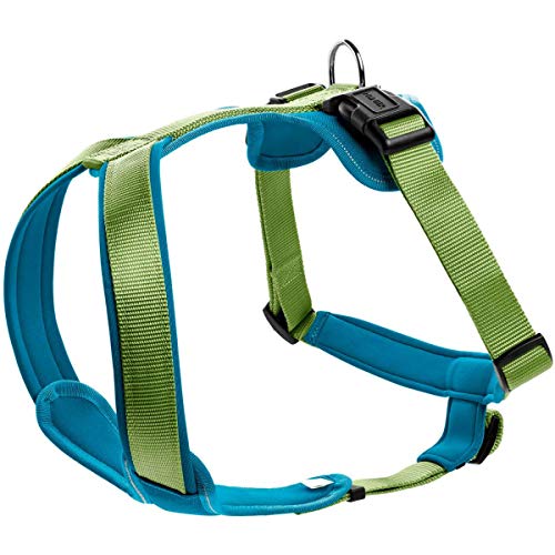 Light Green/Petrol