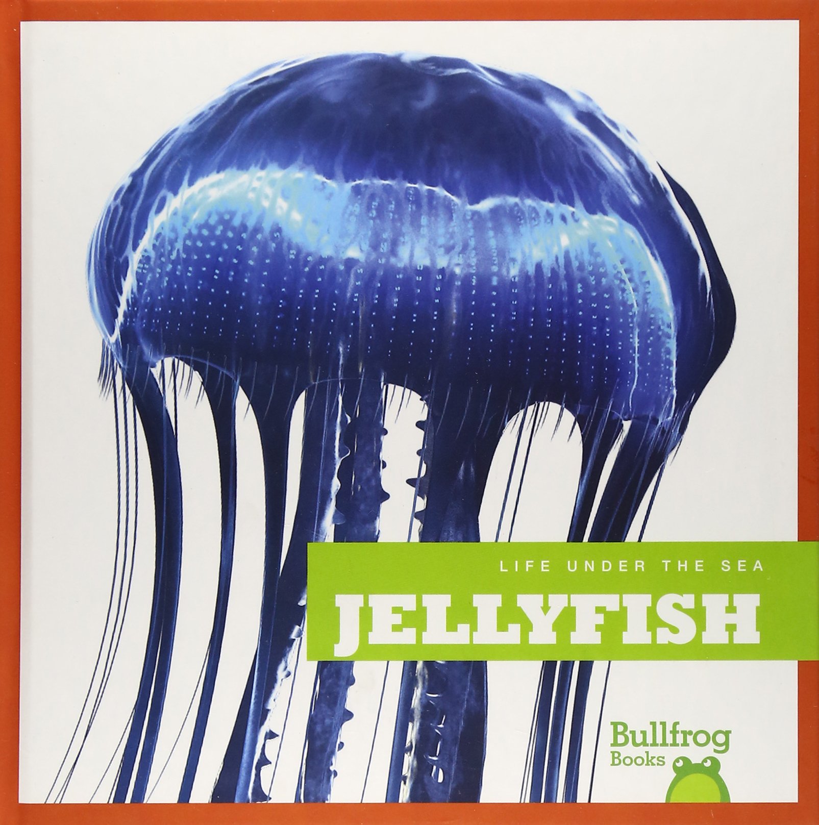 Jellyfish Book for Kids - Bullfrog Books: Life Under the Sea - Ocean Animal Educational Reading for Marine Biology Learning - Perfect for Classroom & Homeschooling