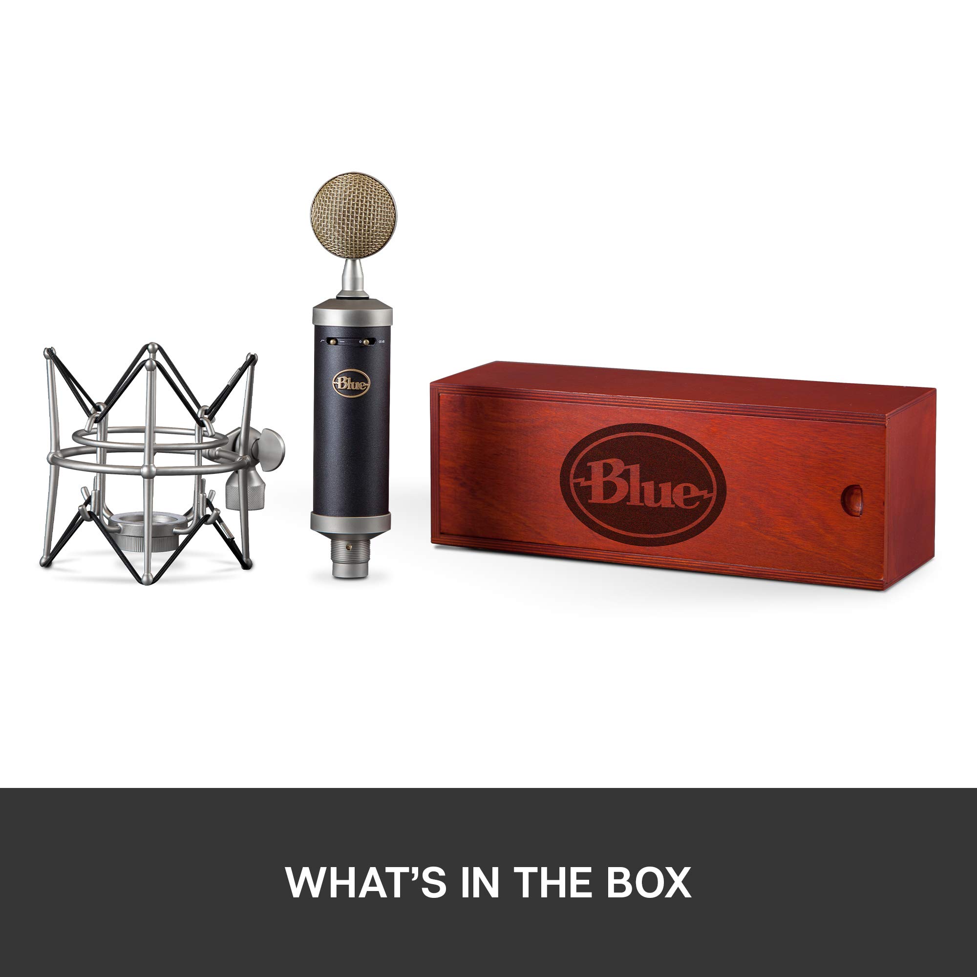 Blue Baby Bottle XLR Cardioid Condenser Microphone - Professional Studio Recording, Live Streaming, Podcasting & Gaming Mic with Large Diaphragm, Shock Mount & Case - Perfect for Home Studios, Voiceovers & Content Creation