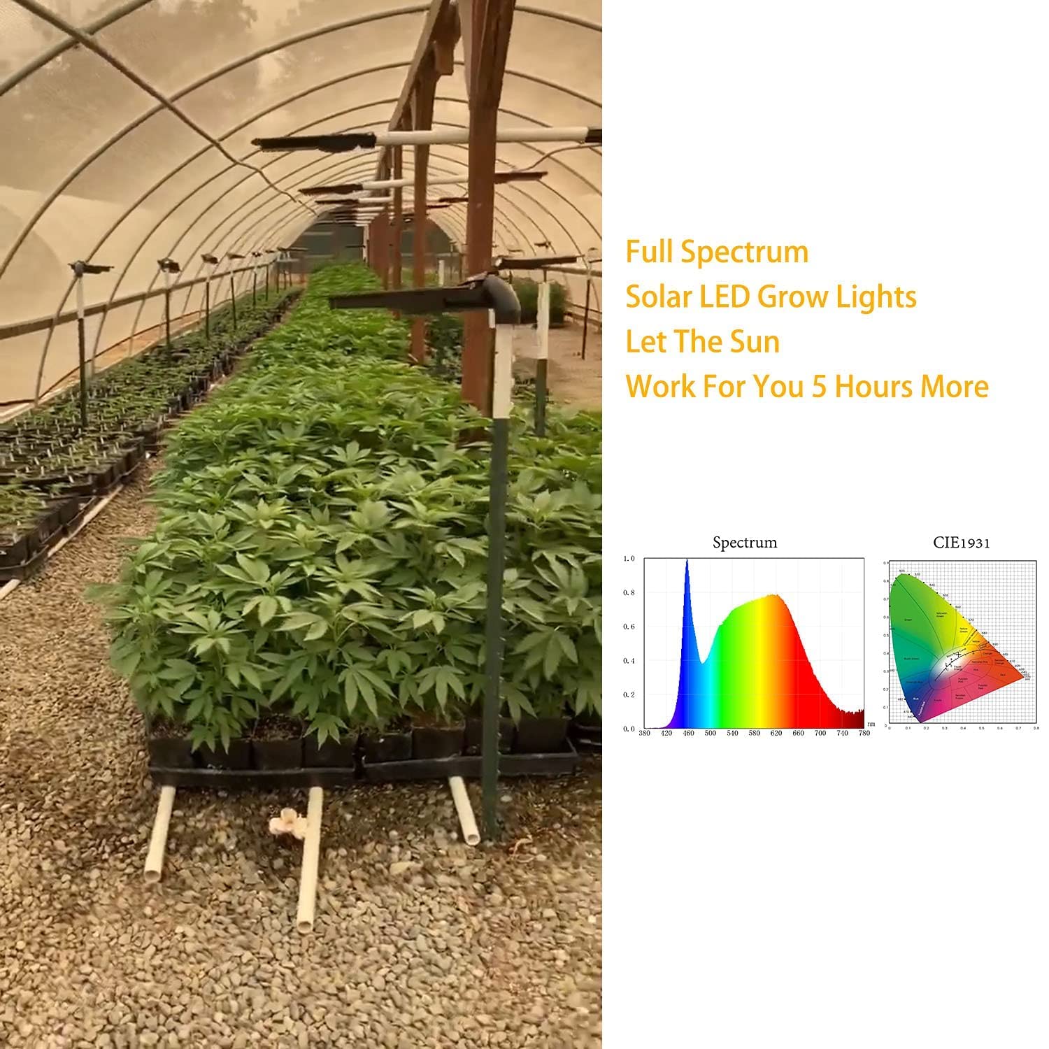 BSOD Solar Grow Lights for Outdoor Plants - Full Spectrum LED Greenhouse Lamp with Timer, Auto Remote, Wireless & Waterproof - 2-in-1 Motion Sensor Street & Plant Light for Gardens, Greenhouses & Pathways