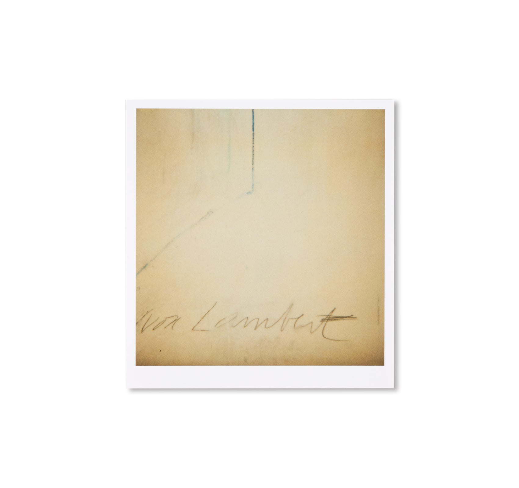 40 Photographs of Cy Twombly's Exhibition 'Blooming, A Scattering of Blossoms and Other Things' by François Halard - Art Book for Collectors & Museum Enthusiasts