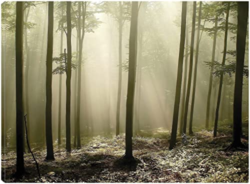 Green Woods