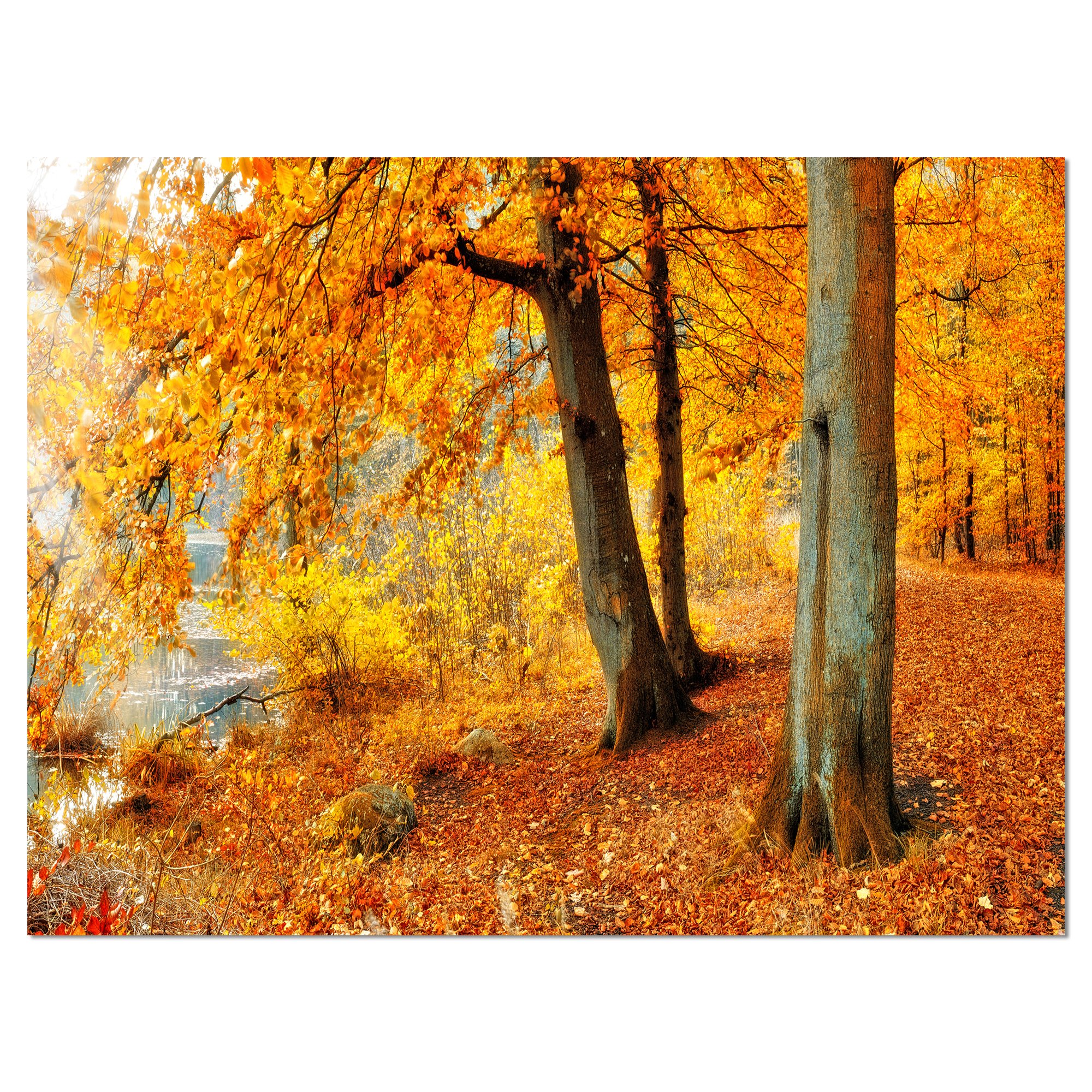 Autumn Forest Landscape Photography Canvas Print - Yellow Fall Foliage Wall Art for Living Room, Bedroom & Office Decor