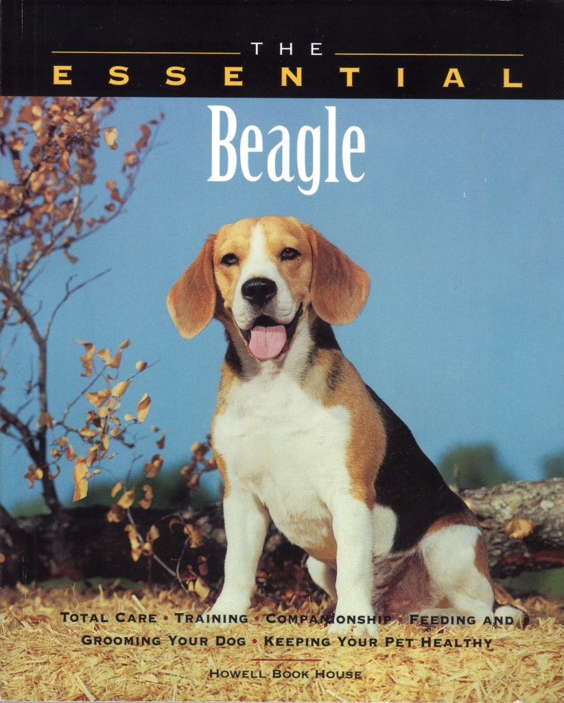 The Essential Beagle - Premium Dog Supplies for Training, Grooming & Play | Perfect for Pet Owners, Dog Lovers & Beagle Breeders