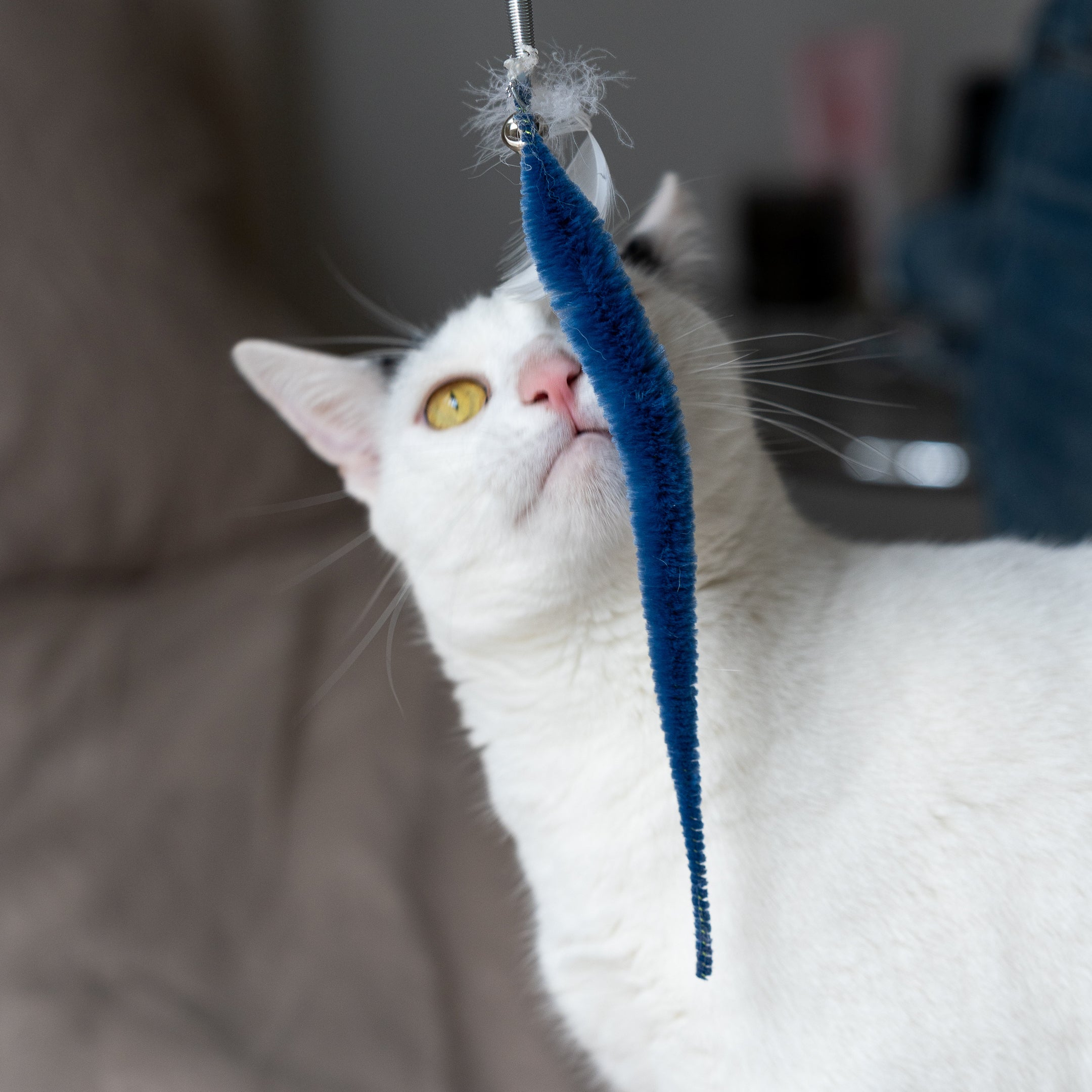Interactive Cat Teaser Wand Toy with Feathers - Fun Playtime for Kittens & Adult Cats - Perfect for Indoor Exercise & Bonding
