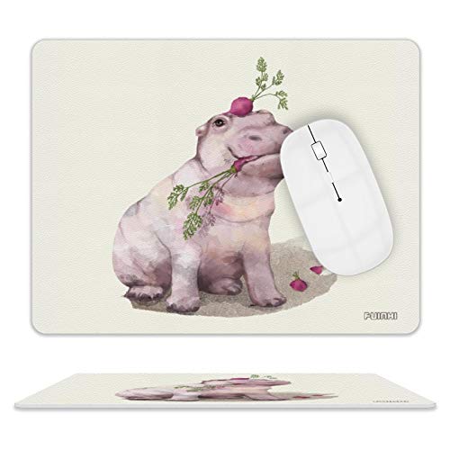 Hippo