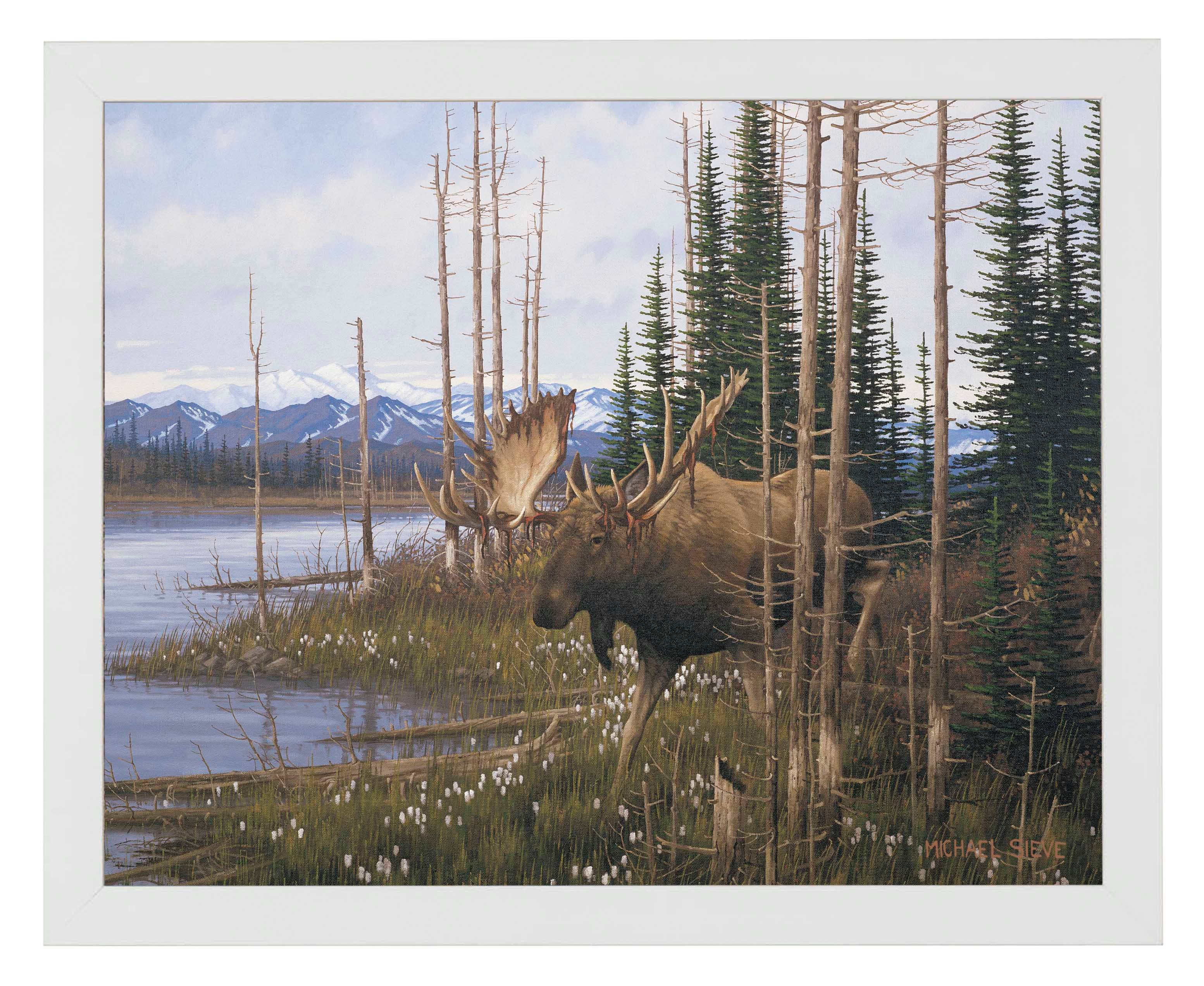 Premium Cotton Grass Meadow Moose Wall Art Print - Nature Wildlife Decor for Living Room, Bedroom & Office