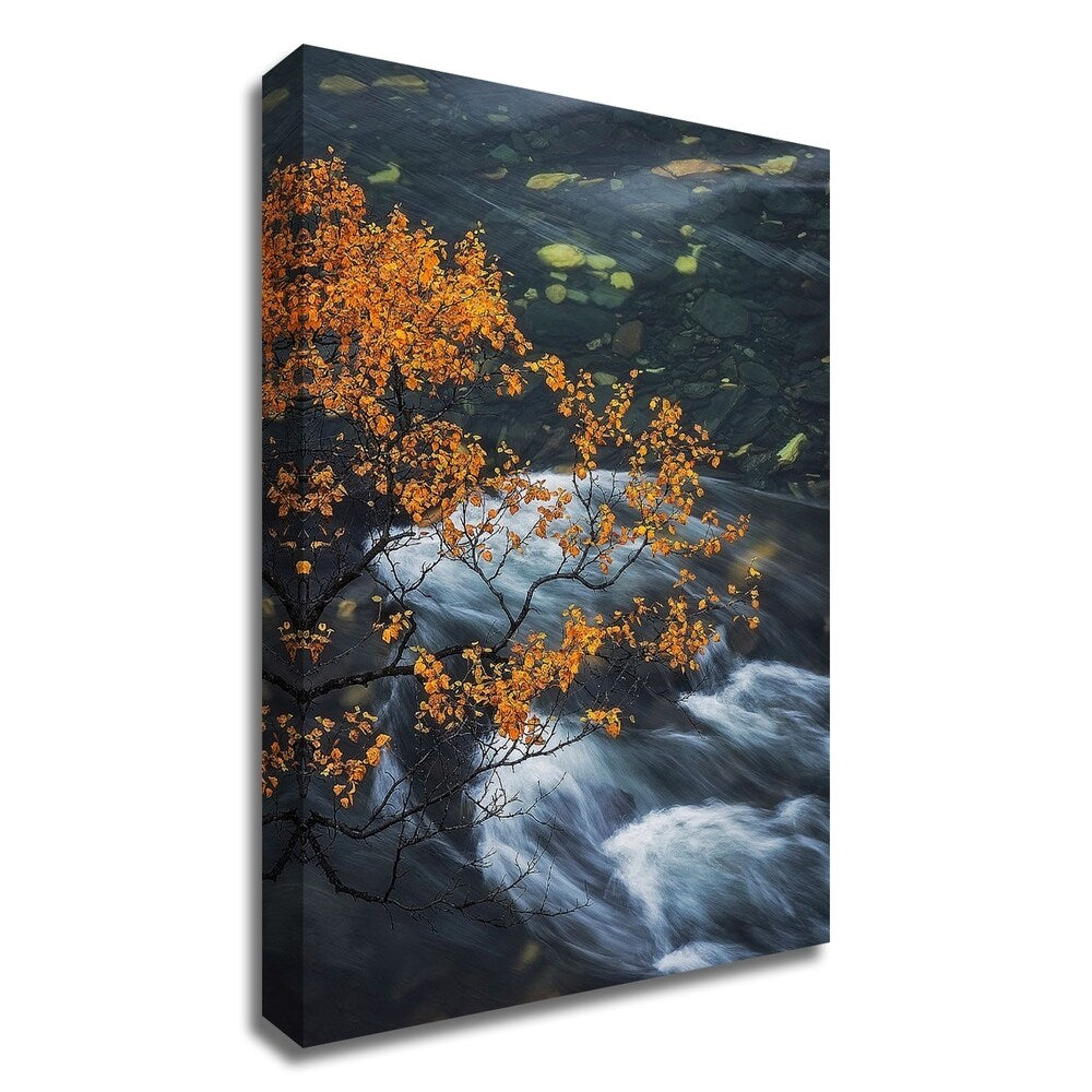 Abisko Autumn Birch by Hans Logren - Premium Canvas Wall Art Print - Ready to Hang - Perfect for Living Room, Bedroom & Office Decor