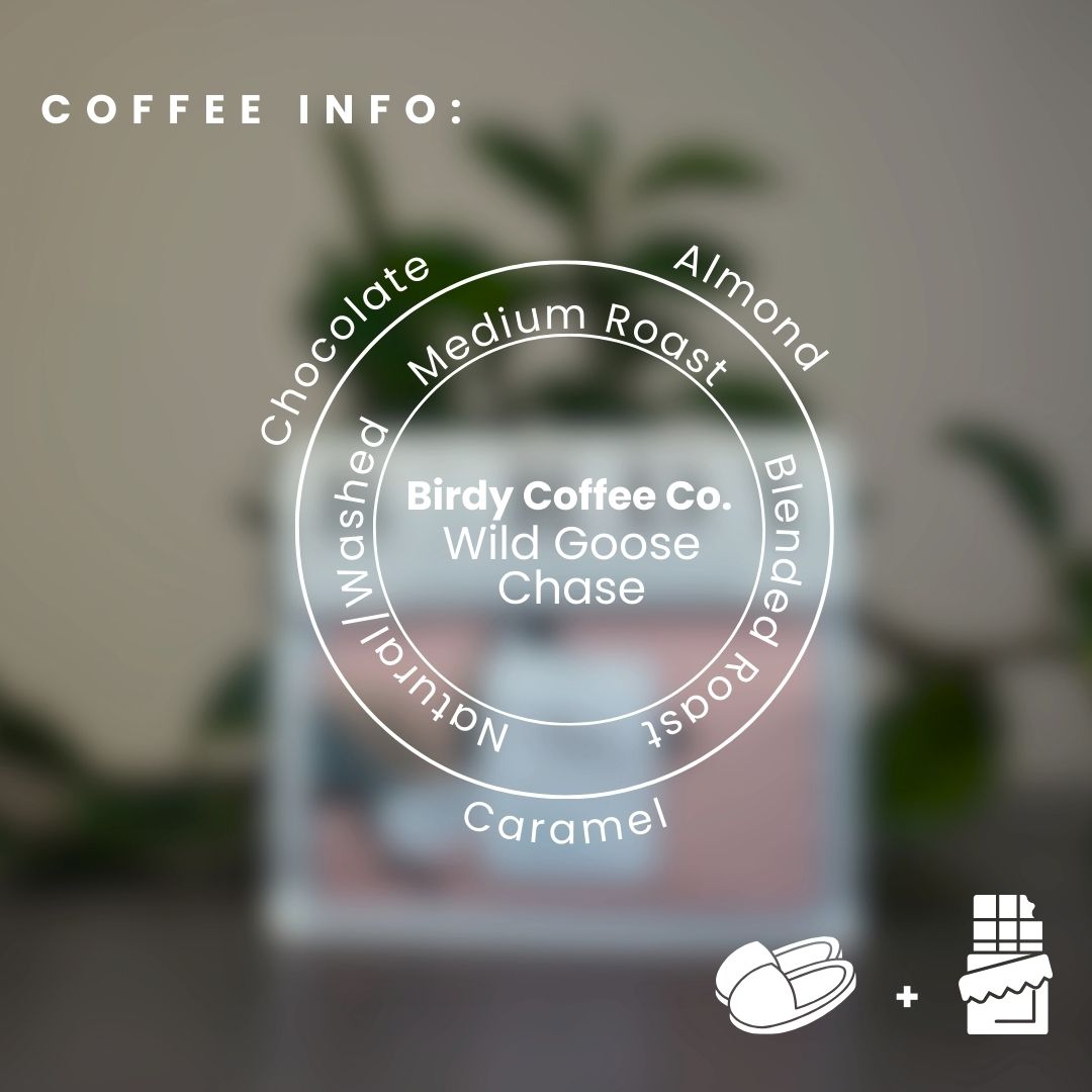 Birdy Coffee Co. Wild Goose Chase Premium Arabica Coffee Beans - Whole Bean Specialty Coffee for Home Brewing & Gifts