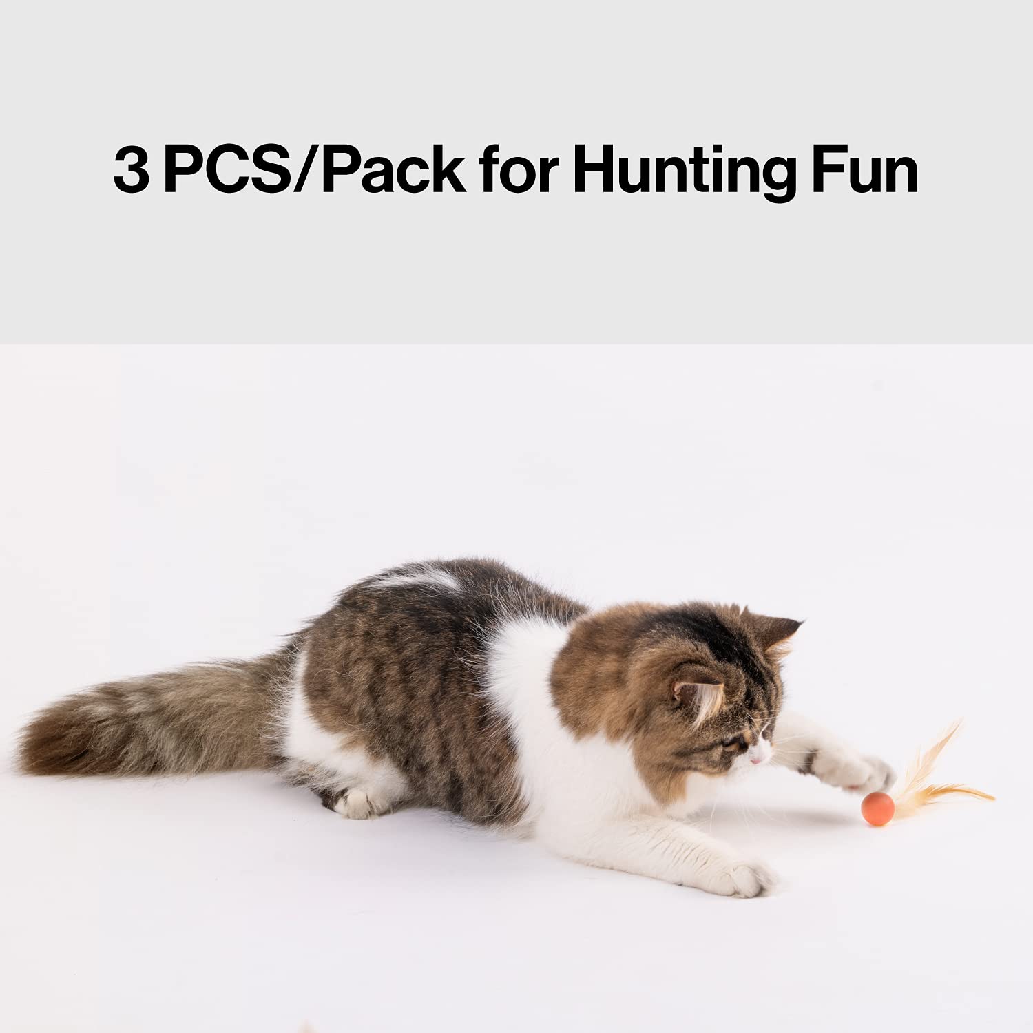 Pidan Interactive Cat Toys - 9PCS Feather & Silicone Ball Set for Indoor Cats - Stimulating Playtime for Kittens & Adult Cats - Perfect for Chasing, Bouncing & Hunting Games