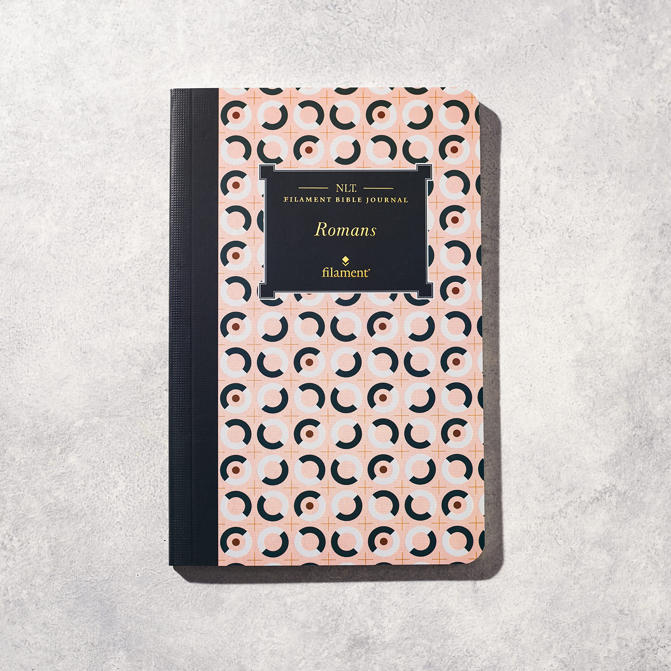 NLT Filament Bible Journal: Romans - Softcover Study Guide for Personal Devotion & Small Group Discussions