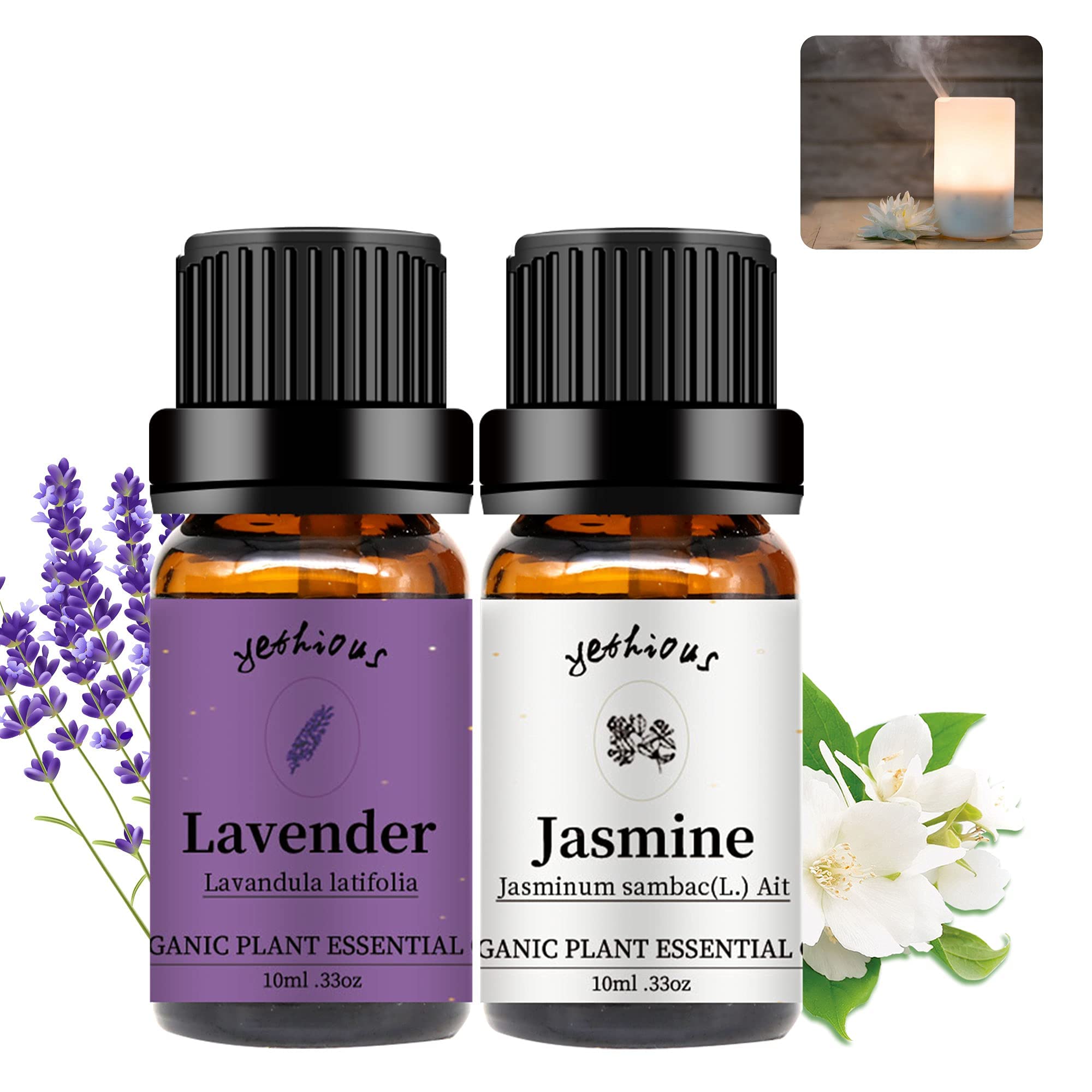 Organic Pure Jasmine & Lavender Essential Oil Set - 100% Natural Aromatherapy Oils for Diffusers, Massage, Relaxation & Stress Relief - Perfect for Home Spa, Yoga & Meditation