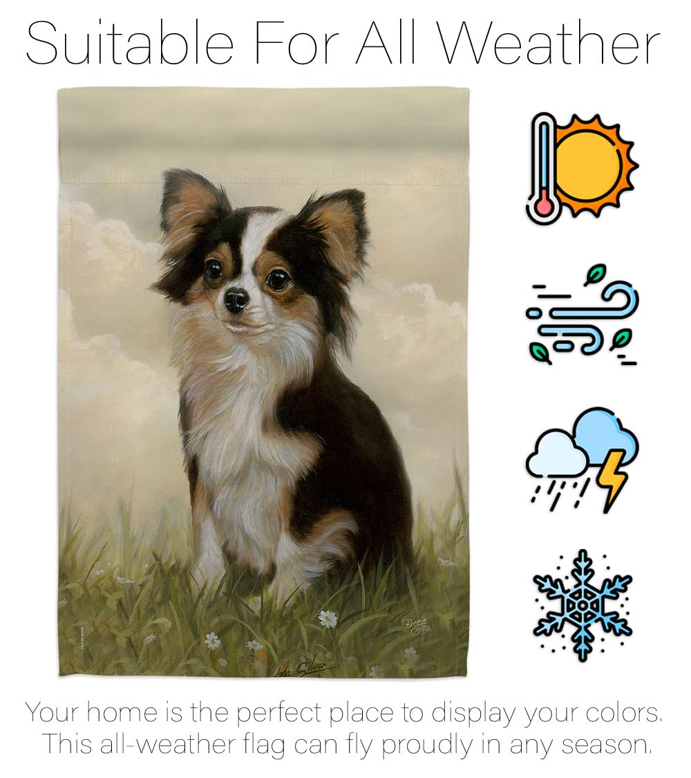 Chihuahua Pet House Flag Set - 28