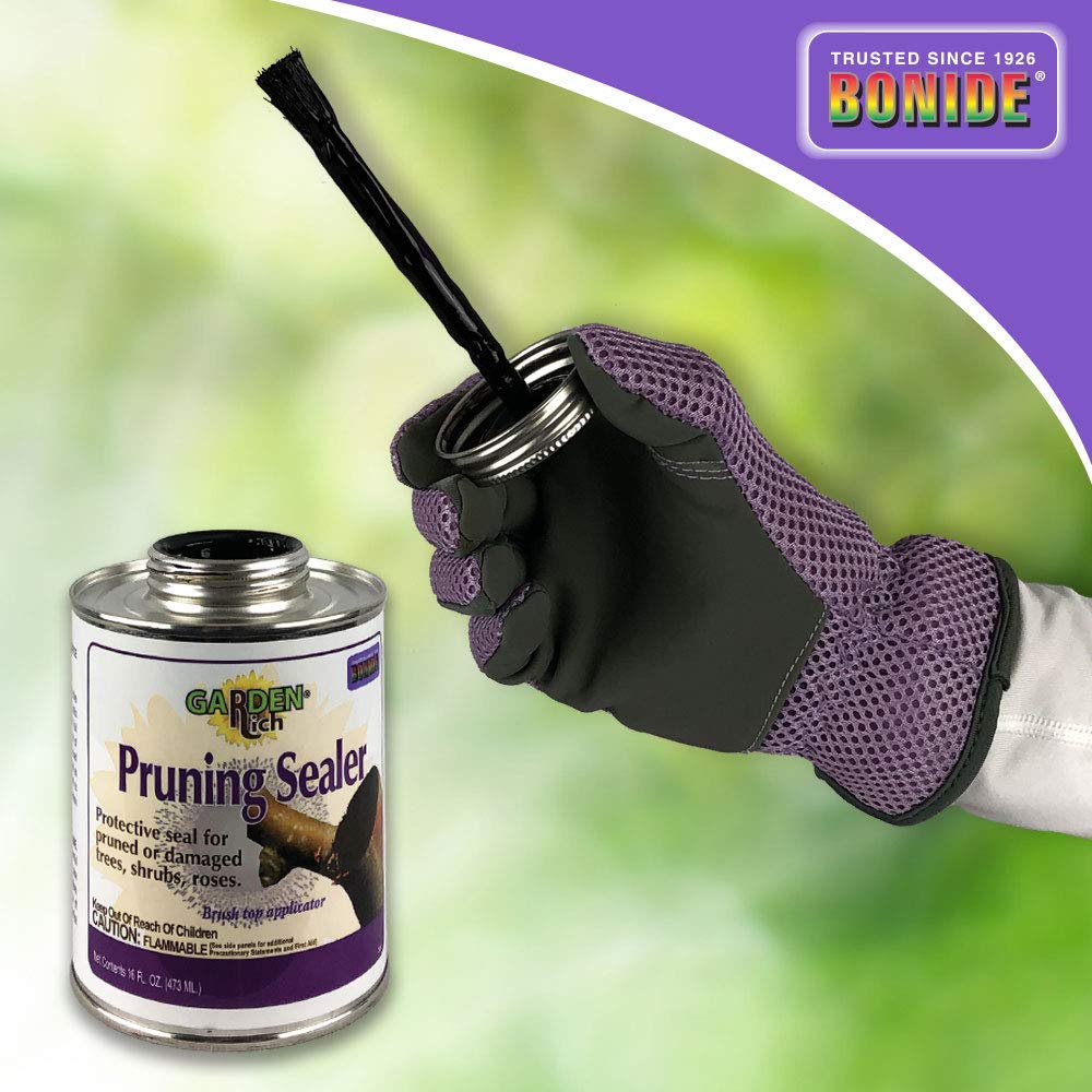Bonide BND225 Tree Pruning Sealer with Brush Top Applicator - 16 oz (Pack of 2) - Professional Wound Dressing for Trees, Shrubs & Plants - Ideal for Pruning Cuts, Grafting & Storm Damage Repair