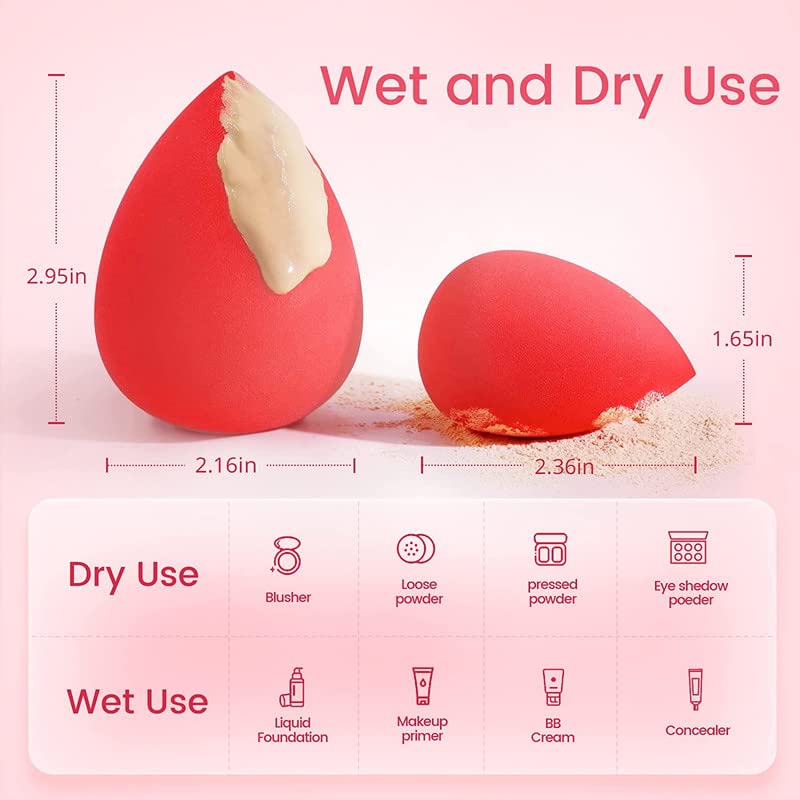 FAMEZA 5-Piece Makeup Sponge Set - Latex-Free Beauty Blender for Foundation, Cream & Powder - Multi-Colored Bouncy Sponges for Flawless Makeup Application - Perfect for Daily Use, Travel & Professional Makeup Kits
