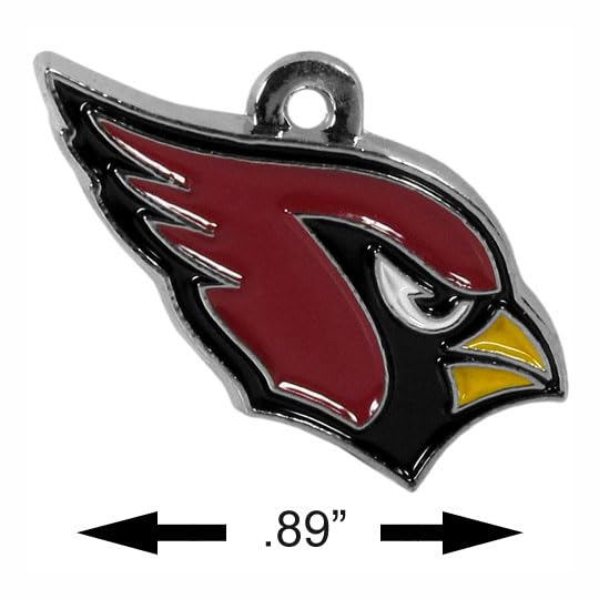 Arizona Coyotes NHL Team Color Chain Necklace with Small Charm - 22 Inch Hockey Fan Jewelry for Men & Women - Perfect for Games, Parties & Gifts