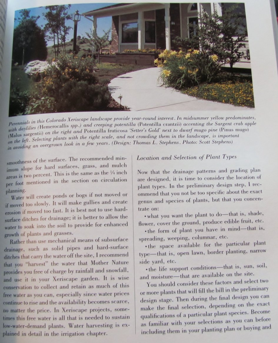 Xeriscape Gardening Guide: Water-Efficient Landscaping Tips for American Homes | Perfect for Drought-Prone Areas & Eco-Friendly Yards