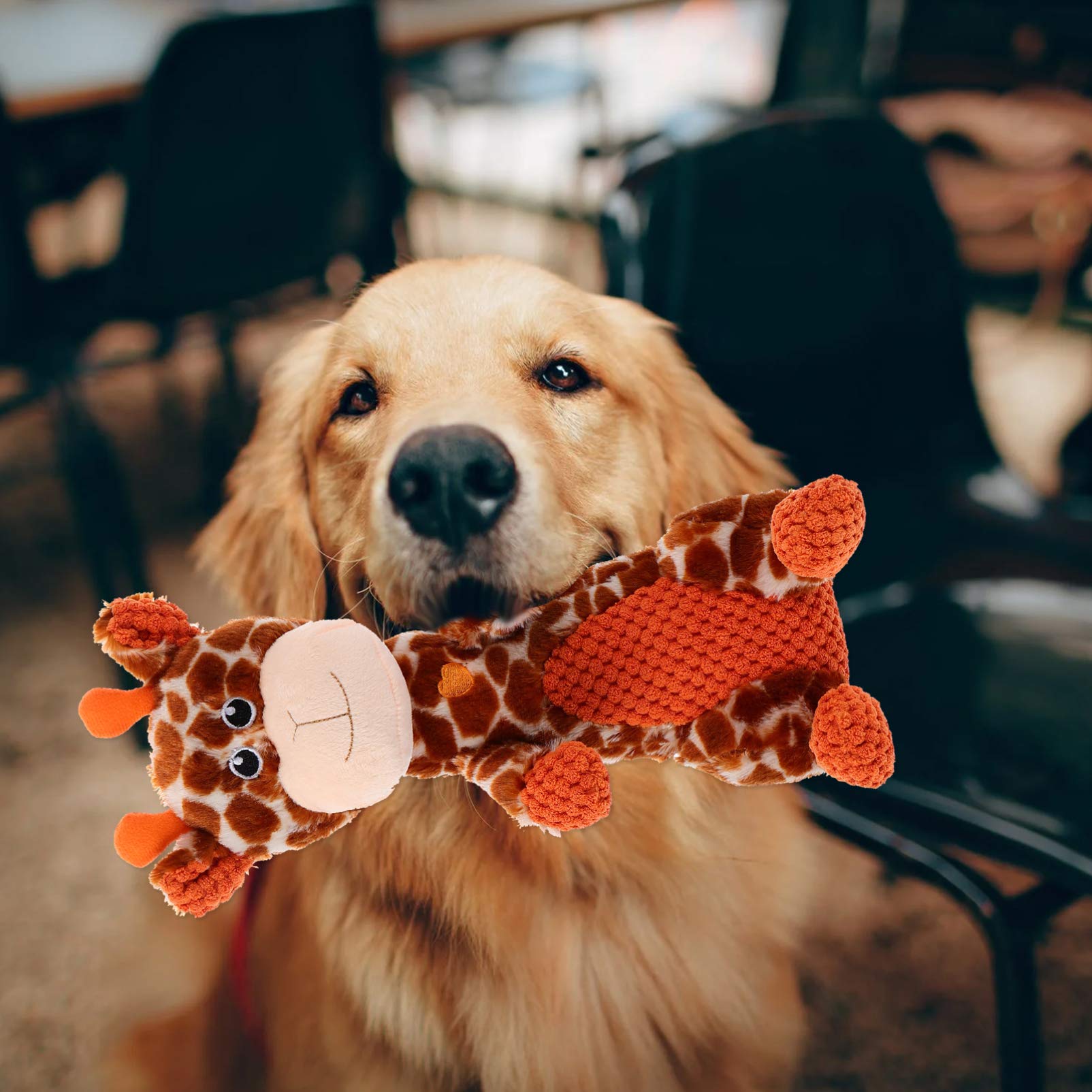 Balacoo Squeaky Giraffe Dog Toy - Durable Plush Chew Toy for Puppies & Small Pets, Teething Relief & Interactive Play - Perfect for Indoor Playtime, Training Rewards & Anxiety Relief