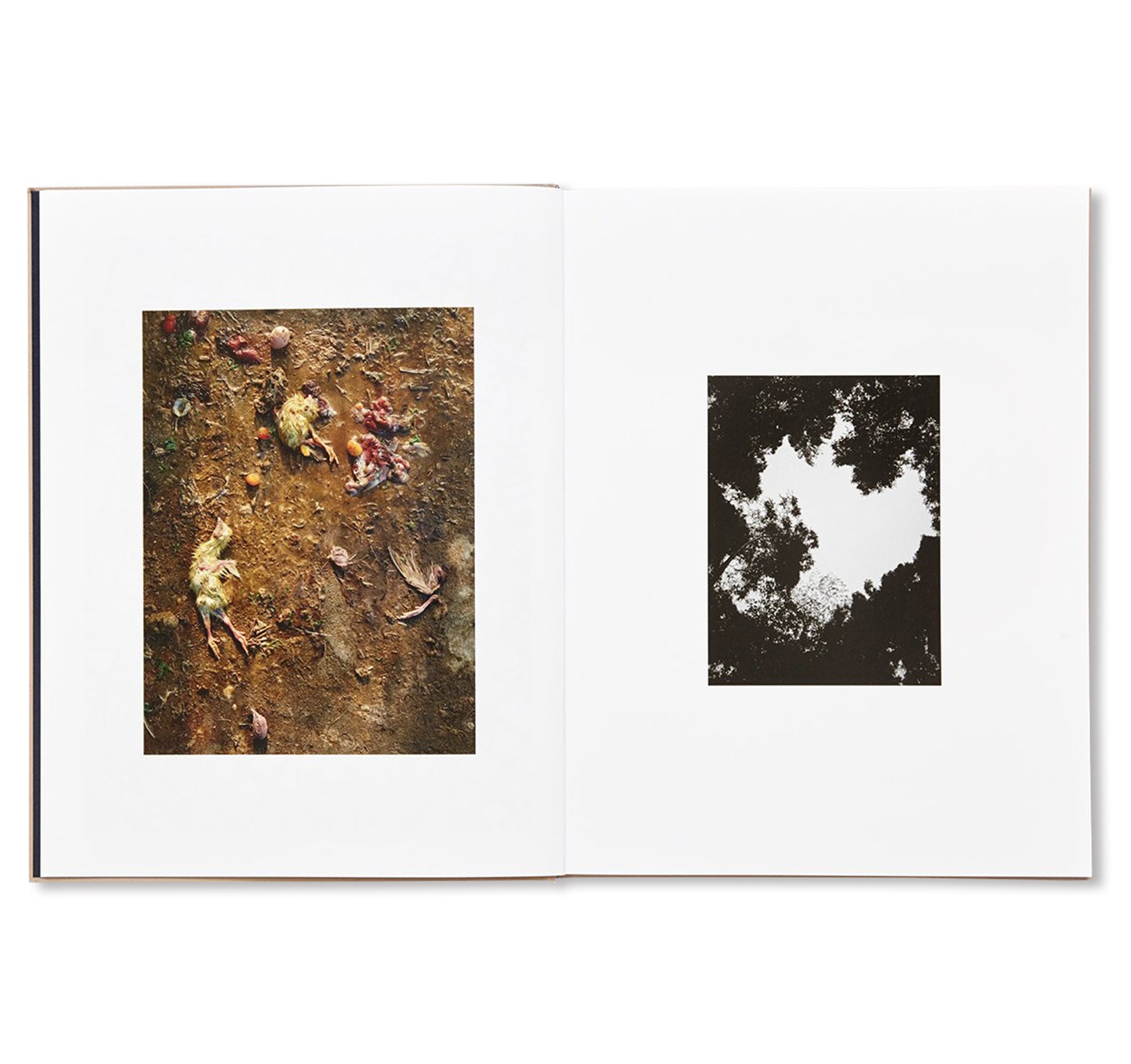 Murder by Guillaume Simoneau - Crime Photography Book - Perfect for Art Collectors & Noir Enthusiasts