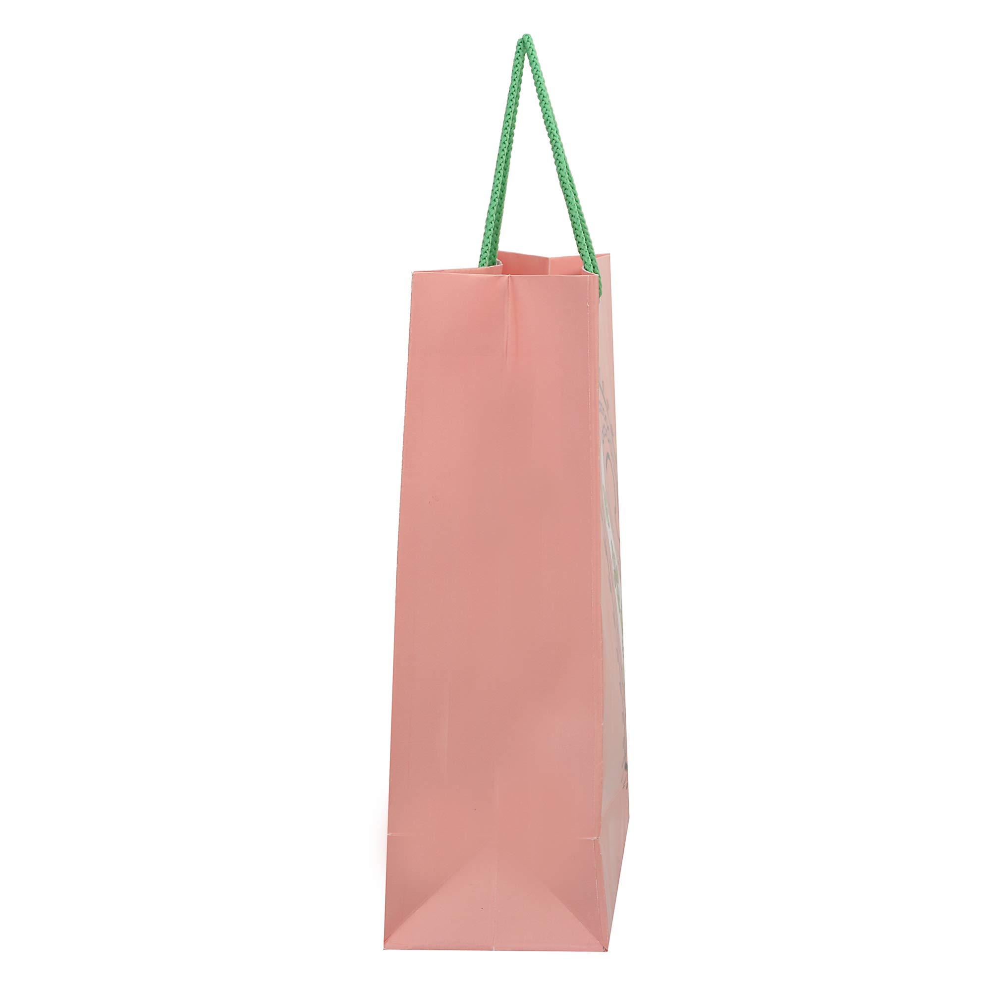 PPJ® Wedding Kairi Peach Paper Gift Bags - 10 Pack (16