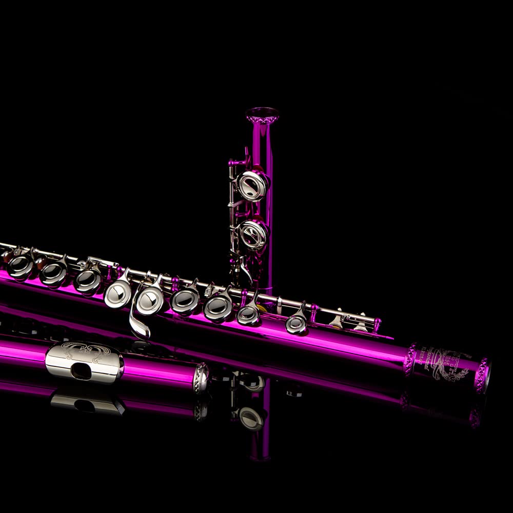 16 Keys C Flute with Engraved Flower Design - Closed Hole Student Flute for Beginners | Includes Cleaning Kit, Stand, Carrying Case, Gloves & Tuning Rod | Perfect for School Band, Music Practice & Gift (Pink)