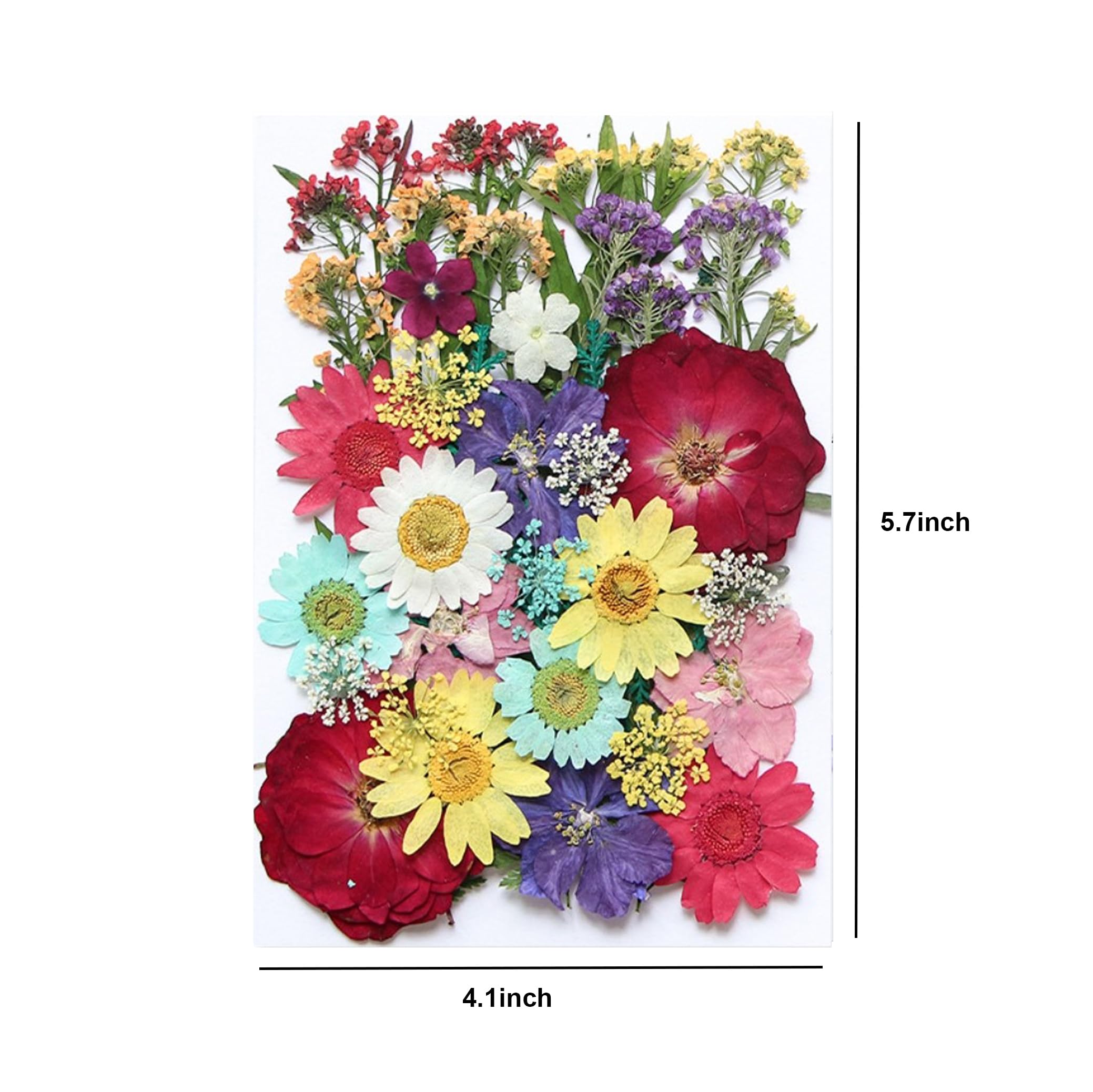 40 Pcs Dried Pressed Flowers for Resin DIY Art Crafts - Natural Herbs Leaves & Dry Plants for Epoxy Jewelry, Floral Decor, Cakes, Phone Cases, Candles & Handmade Soap - Perfect for Summer Wedding, Home Decor & Scrapbooking Projects
