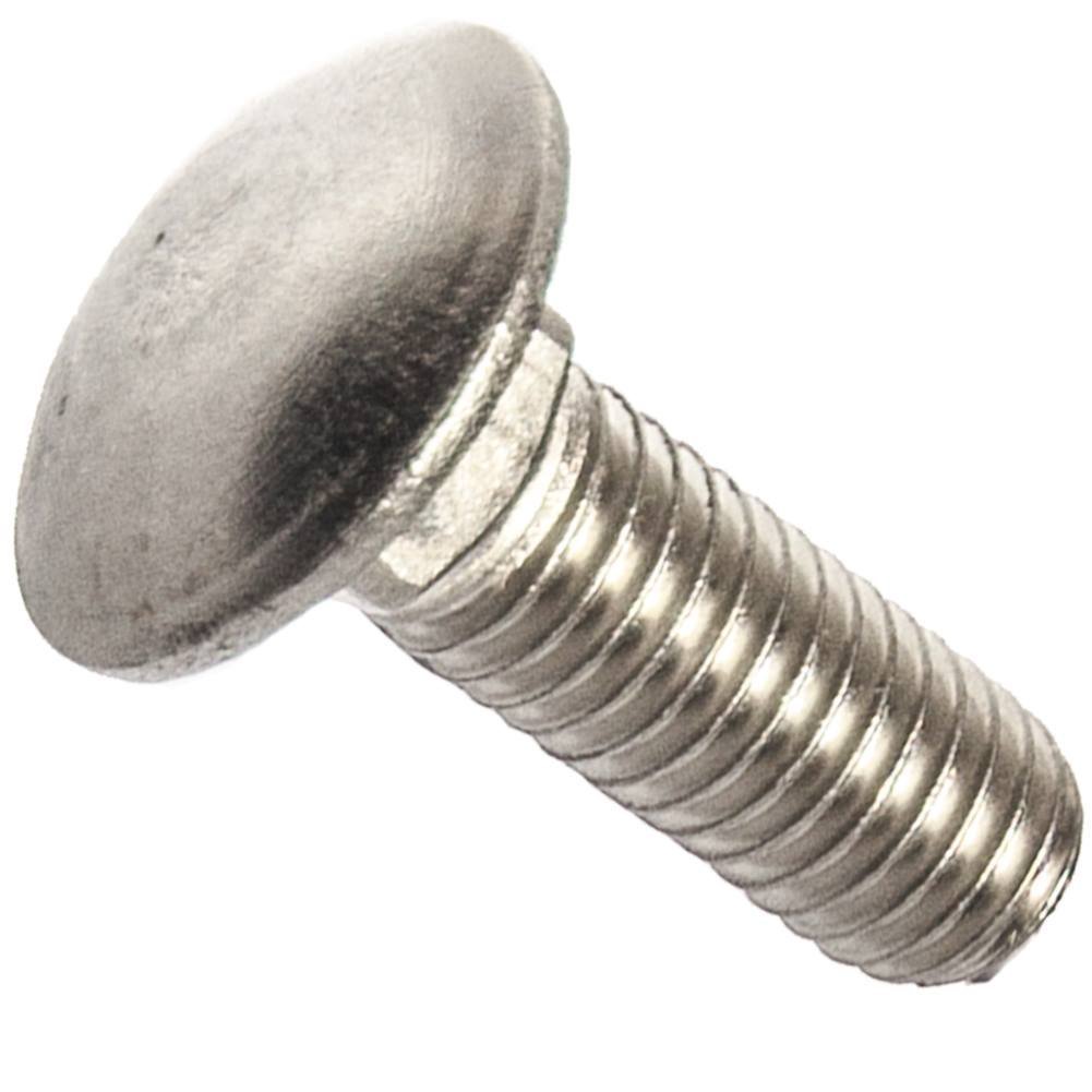 1/4-20 x 4 Stainless Steel Carriage Bolts - 10 Pack for Furniture & Construction