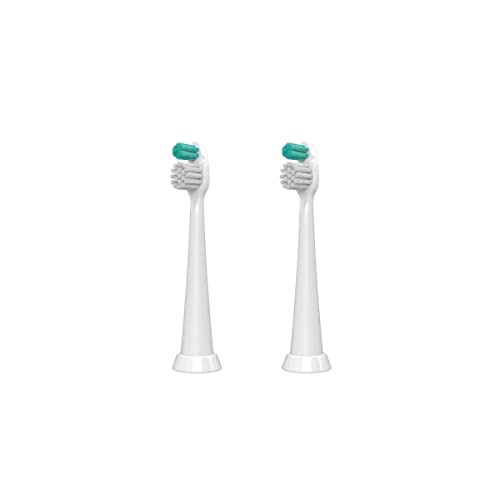 Orthodontic Head
