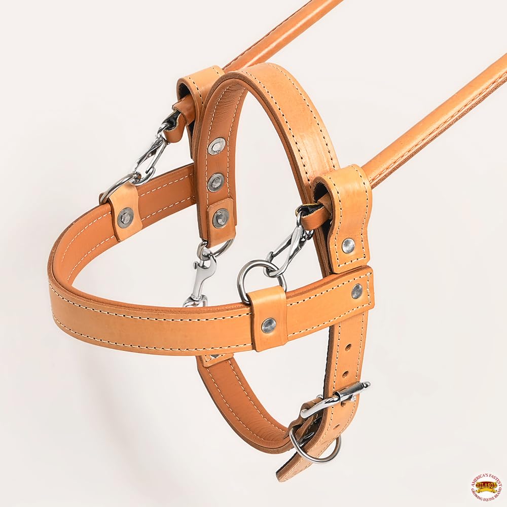 HILASON Genuine Leather Guide Dog Harness with Handle - Adjustable Padded Straps, Breathable Design for Training & Therapy Dogs (Brown/Tan) | Perfect for Service Dogs, Mobility Assistance & Outdoor Adventures