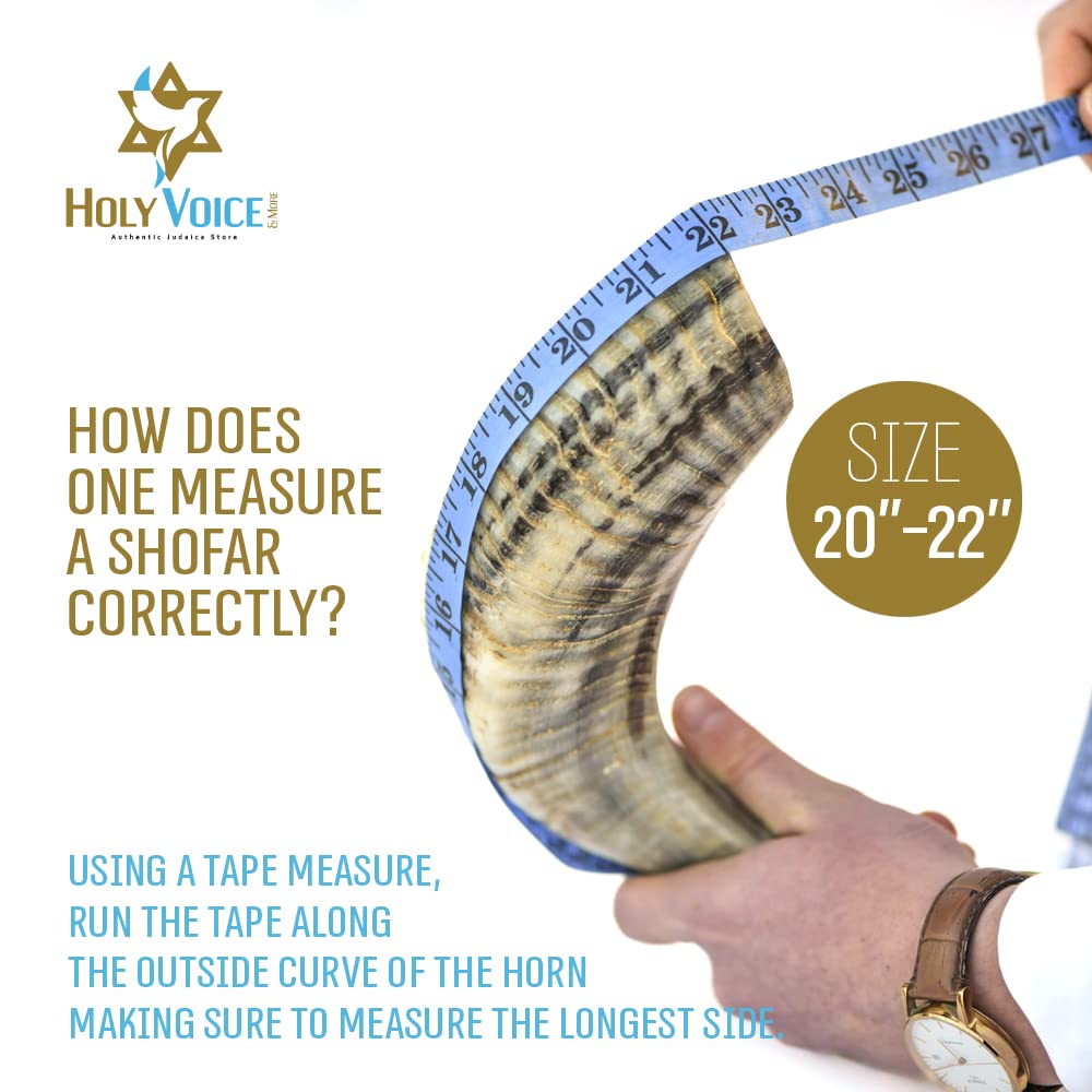 Authentic Handcrafted Kosher Ram Shofar from Israel 20-22 Inch - Jewish Musical Horn with Cleaning Brush, Display Stand & Carry Bag - Perfect for Religious Ceremonies, Jewish Holidays & Home Decor