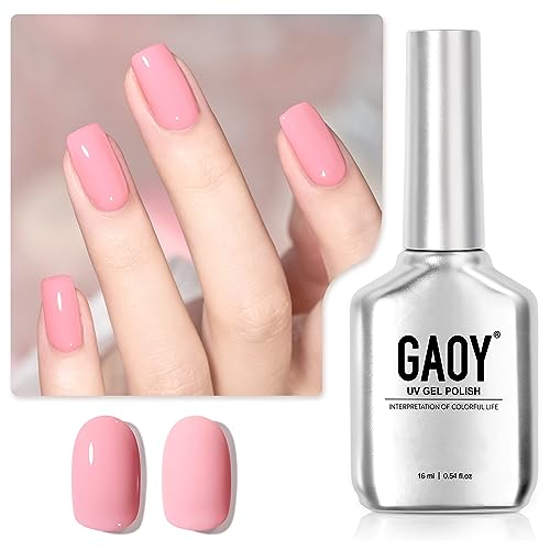 Pink Oyster