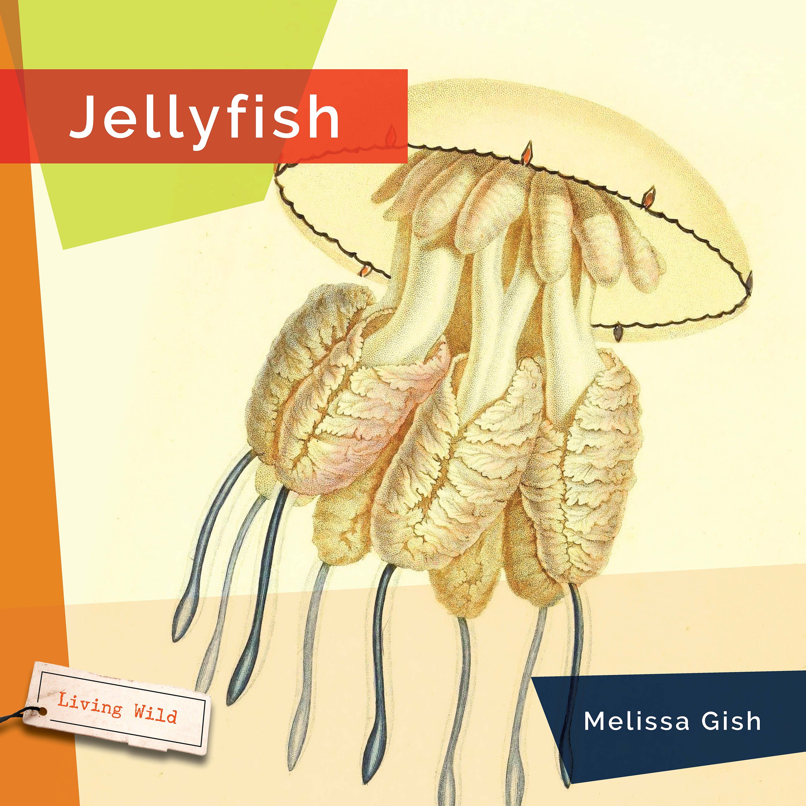 Jellyfish Book 9781640267893 - Marine Life Guide, Ocean Creatures Encyclopedia | Perfect for Marine Biology Students & Ocean Lovers