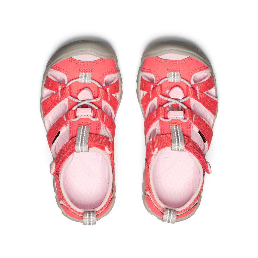 Little Kids' Seacamp II CNX Water Shoes | Dubarry/Giggle Pink | Beach, Pool & Outdoor Play for Toddlers