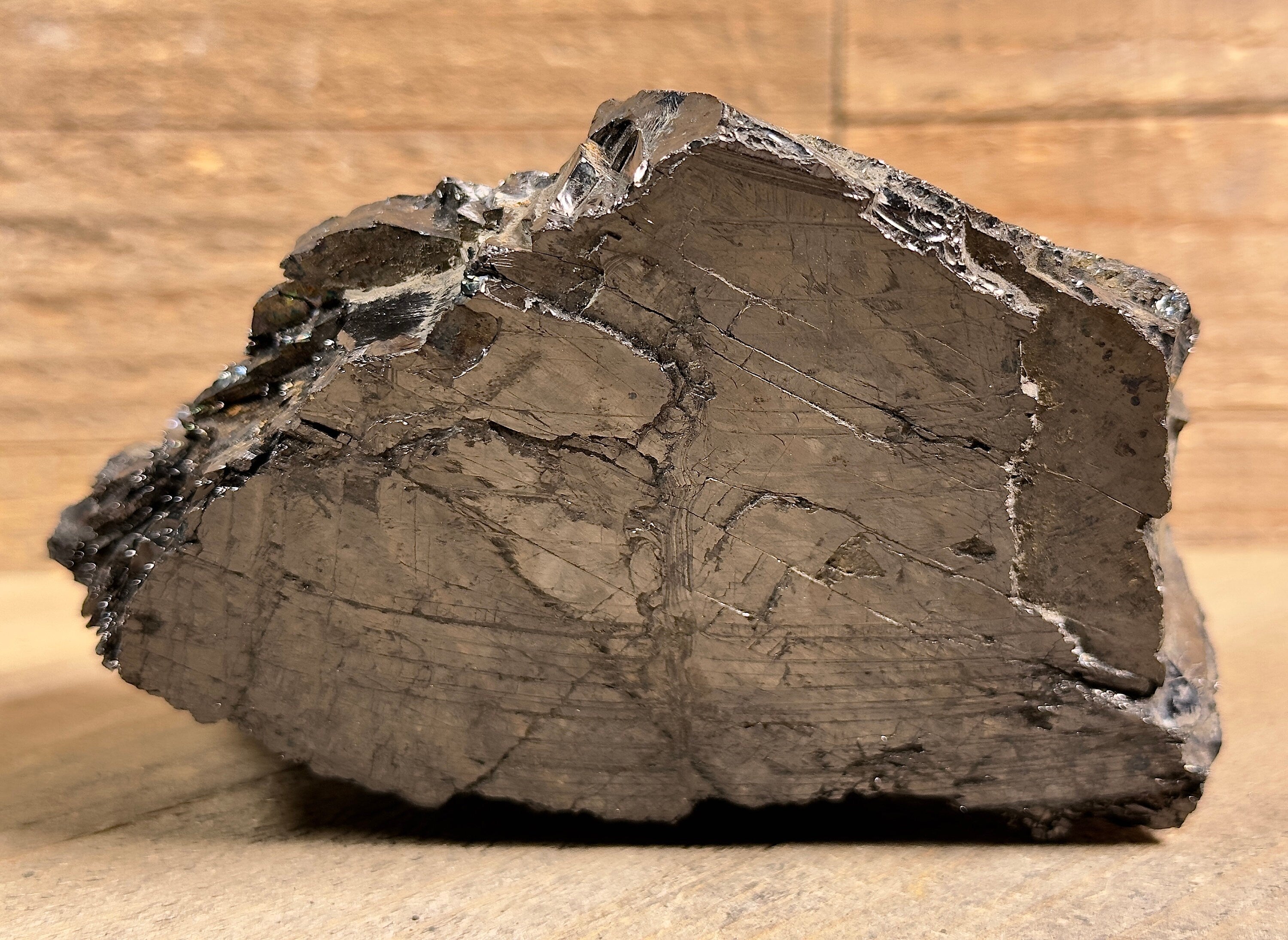 ELITE SHUNGITE Raw Crystal from Colombia - Natural EMF Protection Stone, Healing Mineral for Home Decor & Spiritual Wellness | Perfect for Meditation, Office Desk & Energy Cleansing