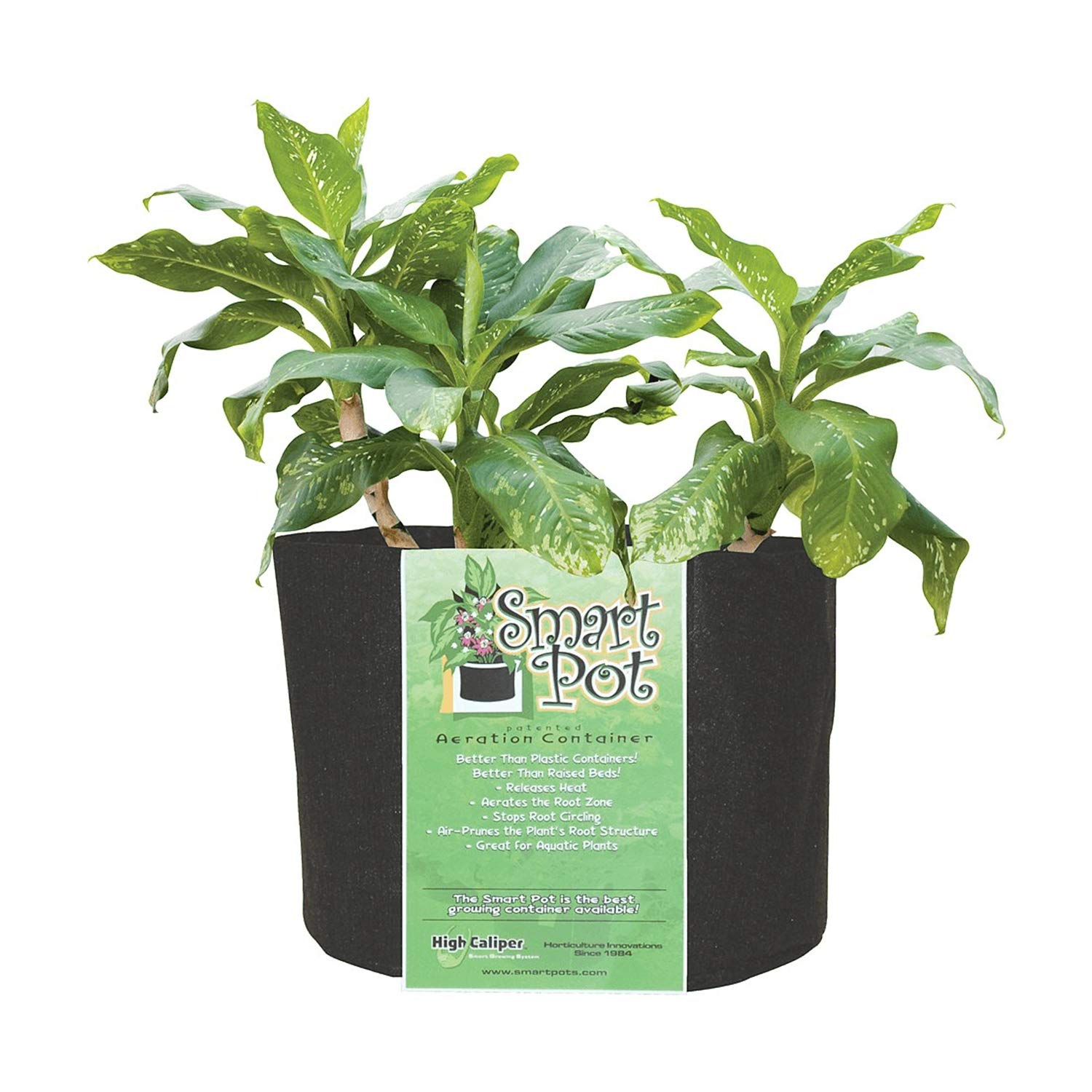30-Gallon Smart Pot Soft-Sided Fabric Container - Aeration Plant Grow Bag for Vegetables, Flowers & Herbs | Indoor & Outdoor Gardening, Raised Bed Alternative, Durable & Reusable Black Planter