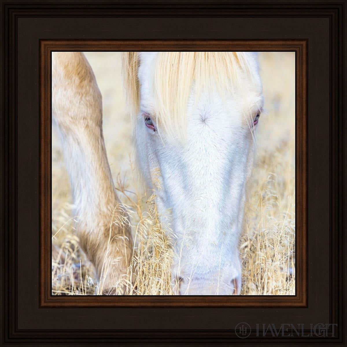 Dry Grass by Greg Sargent - Premium Handcrafted Home Decor for Rustic & Farmhouse Style - Perfect for Wall Art, Shelf Displays & Cozy Living Room Decor