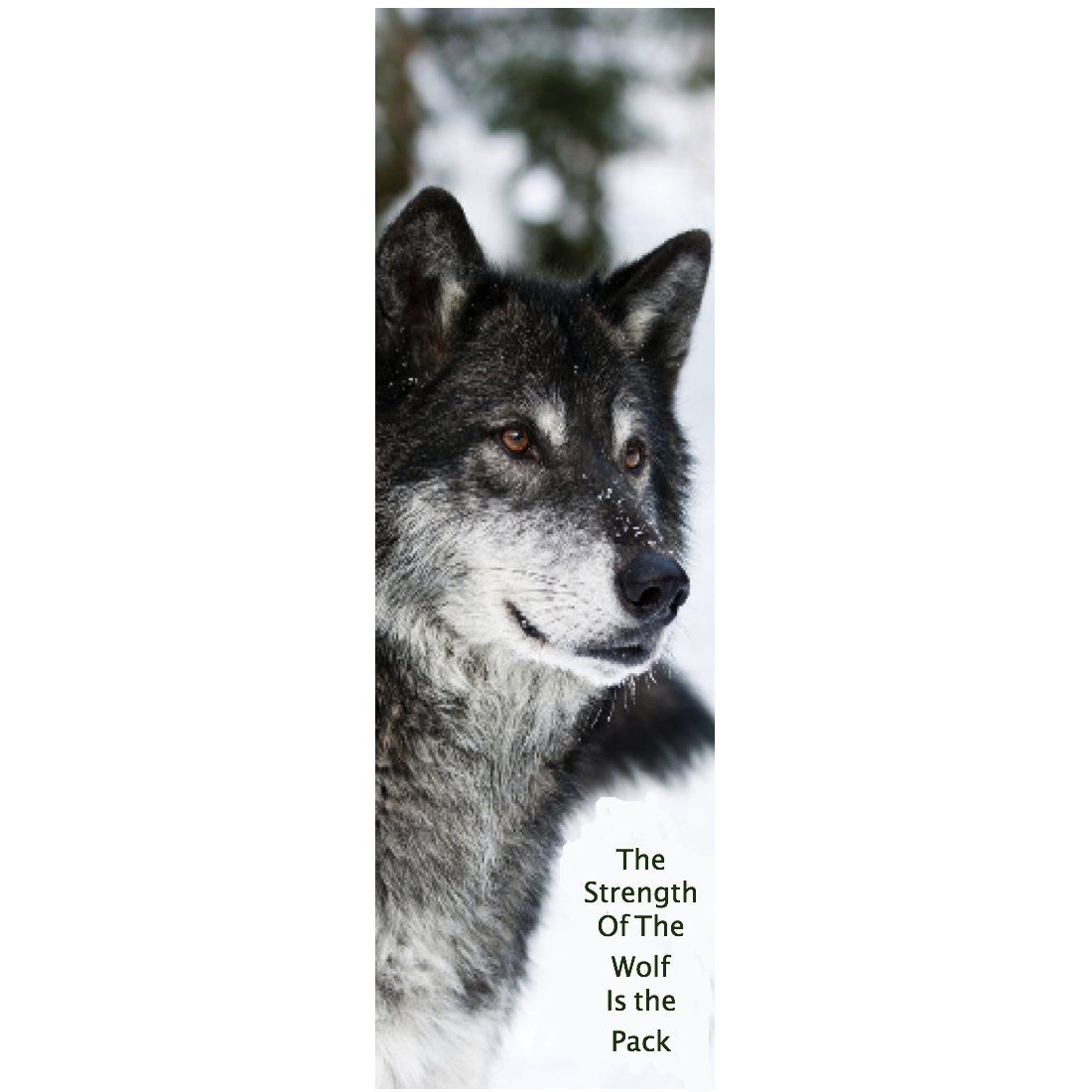 Strength of The Wolf Bookmarks (Pack of 10) - Premium Handmade Bookmark Set for Readers, Book Lovers & Gift Giving - Perfect for Novels, Journals & Bible Study