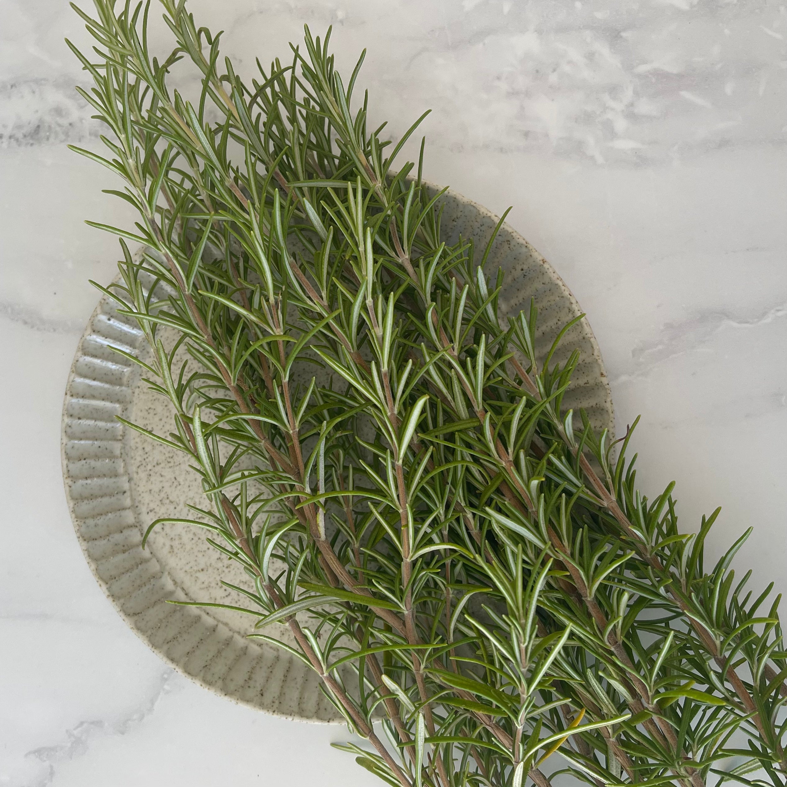 Organic Rosemary Hydrosol Facial Toner & Skin Mist - 100% Pure, Natural, Alcohol-Free for Hydration & Glow | Perfect for Daily Skincare, Aromatherapy & Hair Care