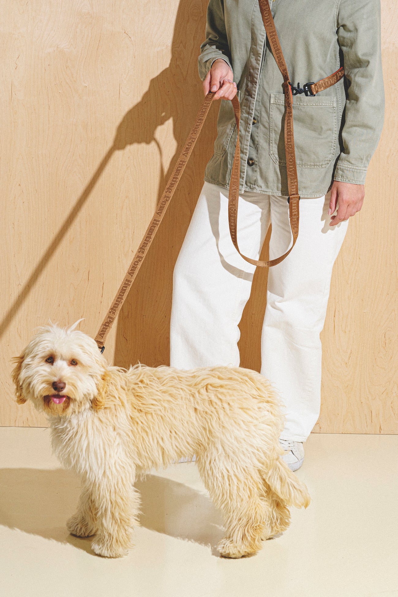 Premium Dog Walking Kit - Comfortable Companion Leash & Adjustable Ginger Collar for Small to Medium Dogs - Perfect for Daily Walks, Training & Outdoor Adventures