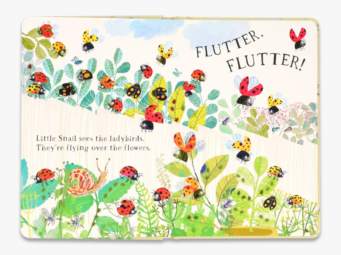 Little Snail's Book of Bugs - Educational Children's Nature Book | The Big Book Series | Perfect for Kids' Bedtime Reading & Classroom Learning