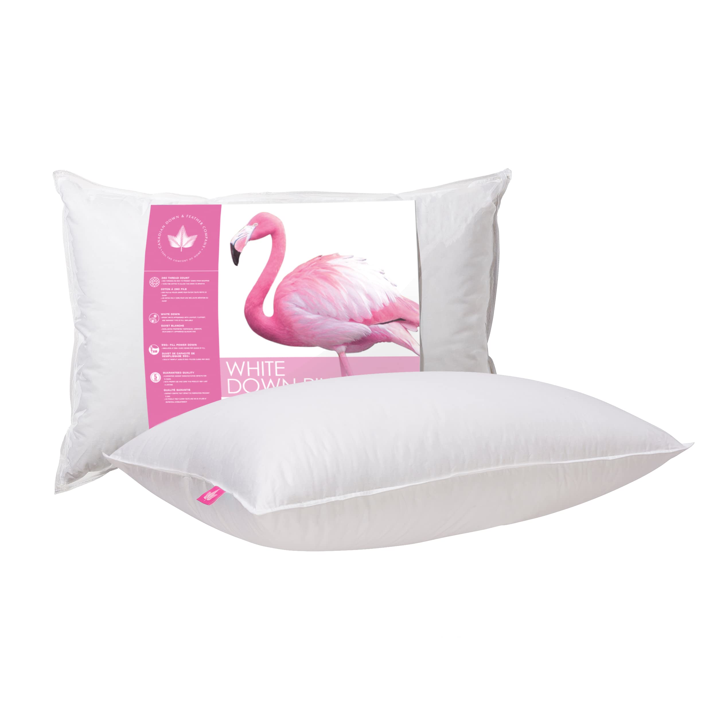 Canadian Down & Feather Co. - Firm Support White Down Pillow Queen Size - 260 Thread Count 100% Cotton Shell - Made in Canada - Perfect for Back Sleepers & Neck Support