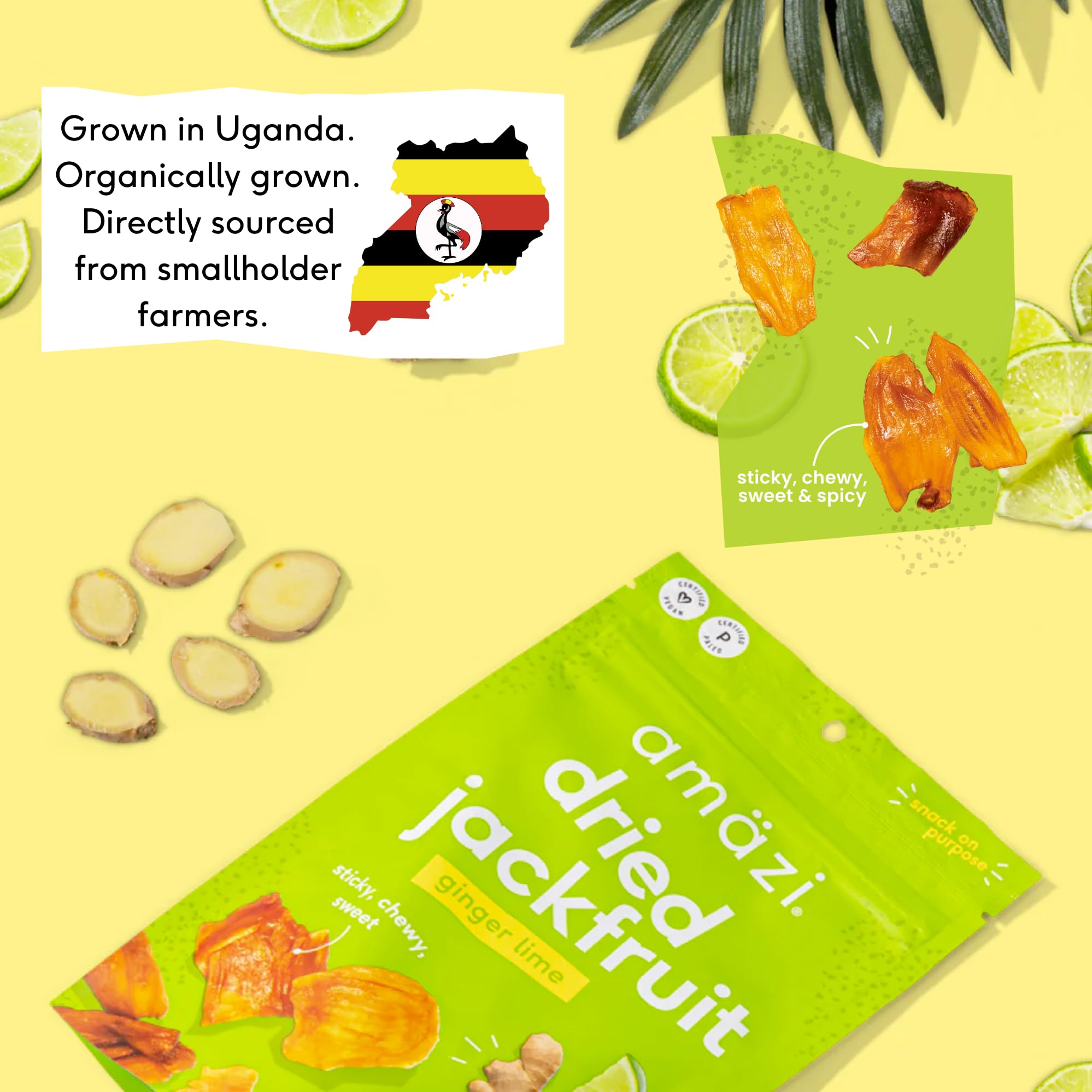 Amäzi Foods | Ginger Lime Dried Jackfruit (6 Pack) | All Natural, Gluten Free Healthy Dried Fruit Snacks | Vegan, Paleo & Keto Friendly | Perfect for On-the-Go, Hiking & Office Snacking