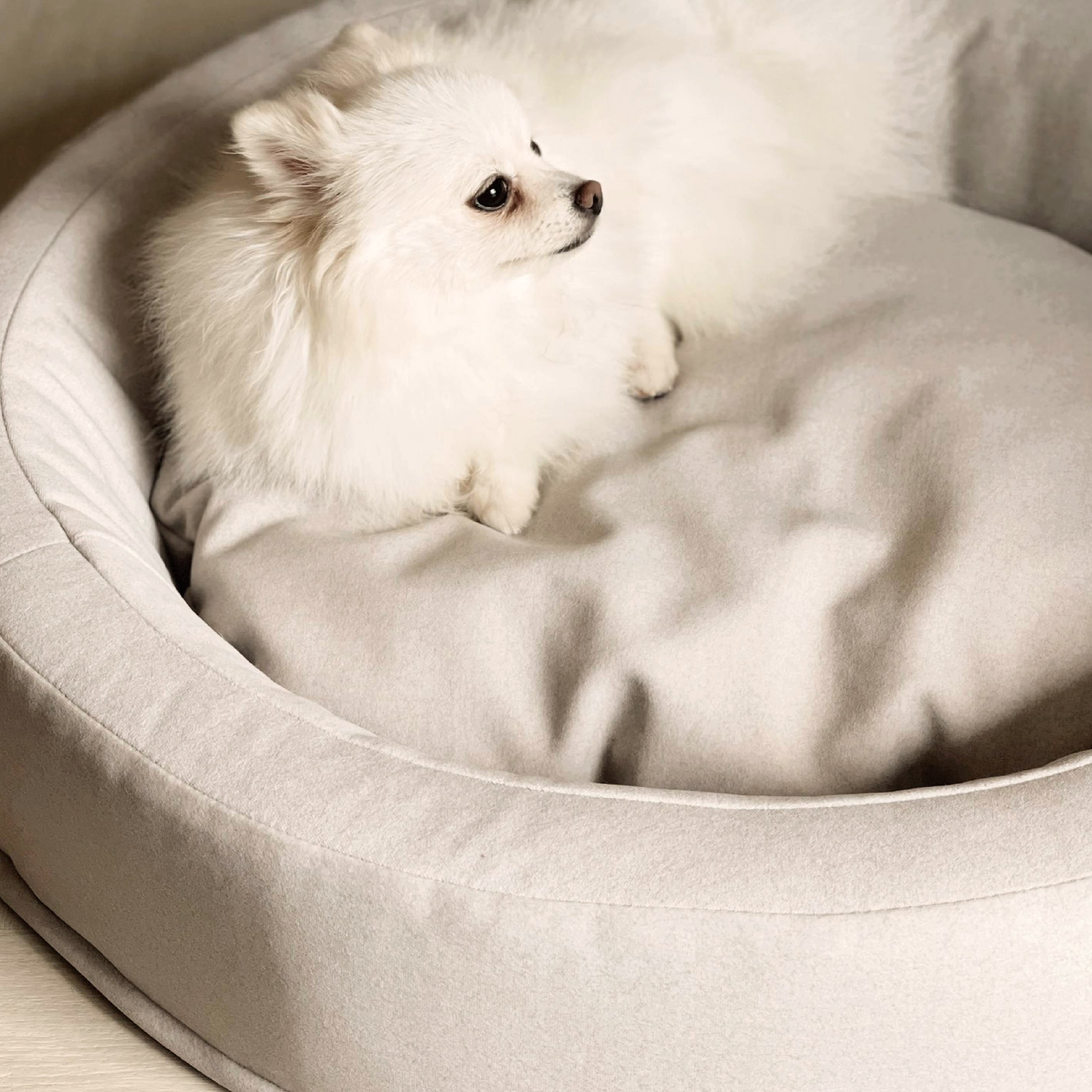 Premium Orthopedic Nest Pet Bed for Dogs & Cats - Comfortable & Supportive Memory Foam - Perfect for Small, Medium & Large Breeds - Ideal for Home, Office & Travel Use